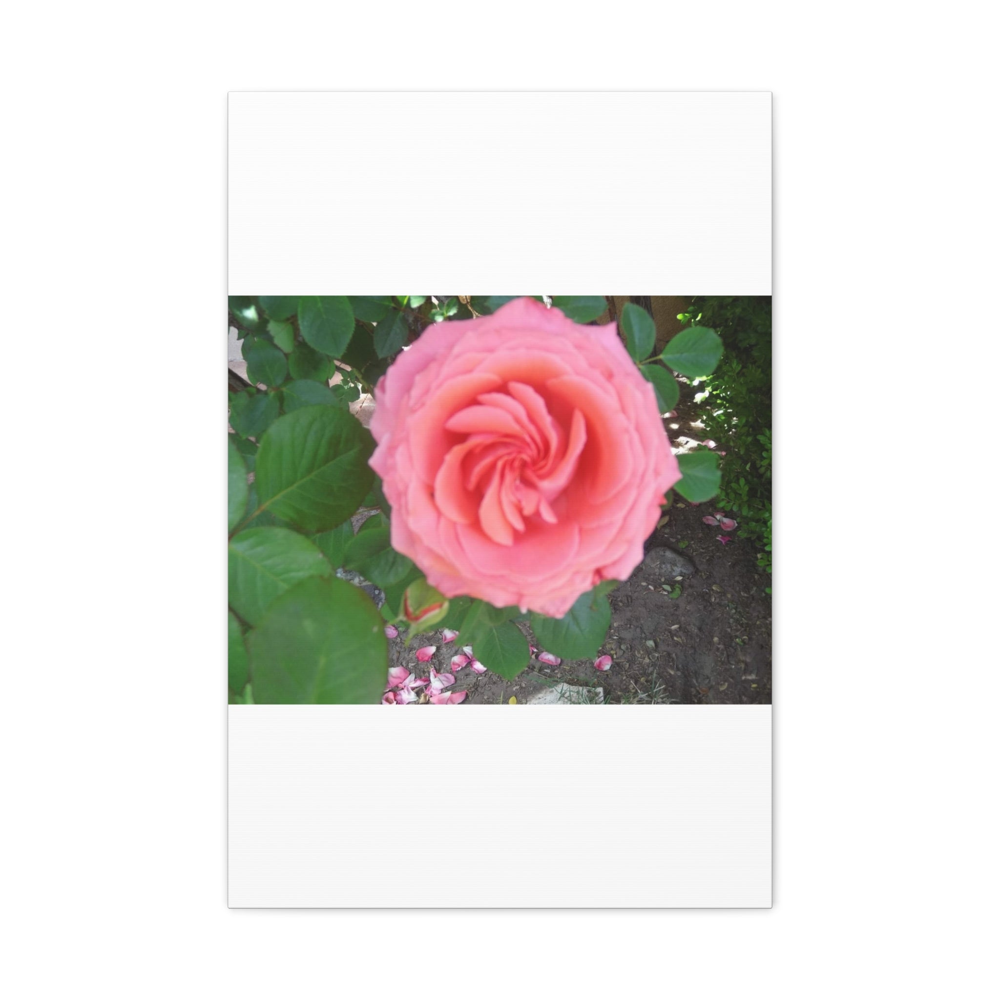 Pink Rose Canvas Wall Art, Floral Decor for Home, Perfect Gift for Nature Lovers, Elegant Wall Hanging, Mother's Day Decoration