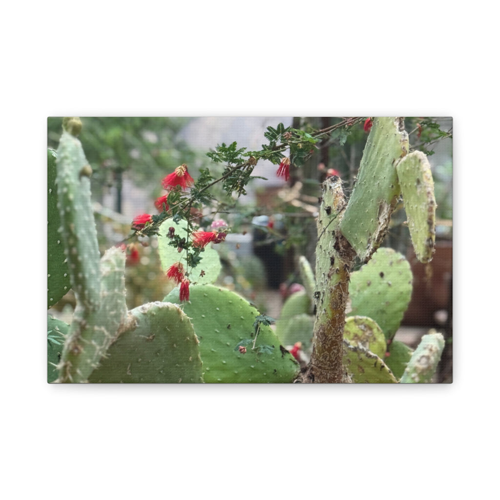 Cactus Artwork Print, Botanical Wall Decor, Succulent Canvas, Nature Lover Gift, Home Decoration
