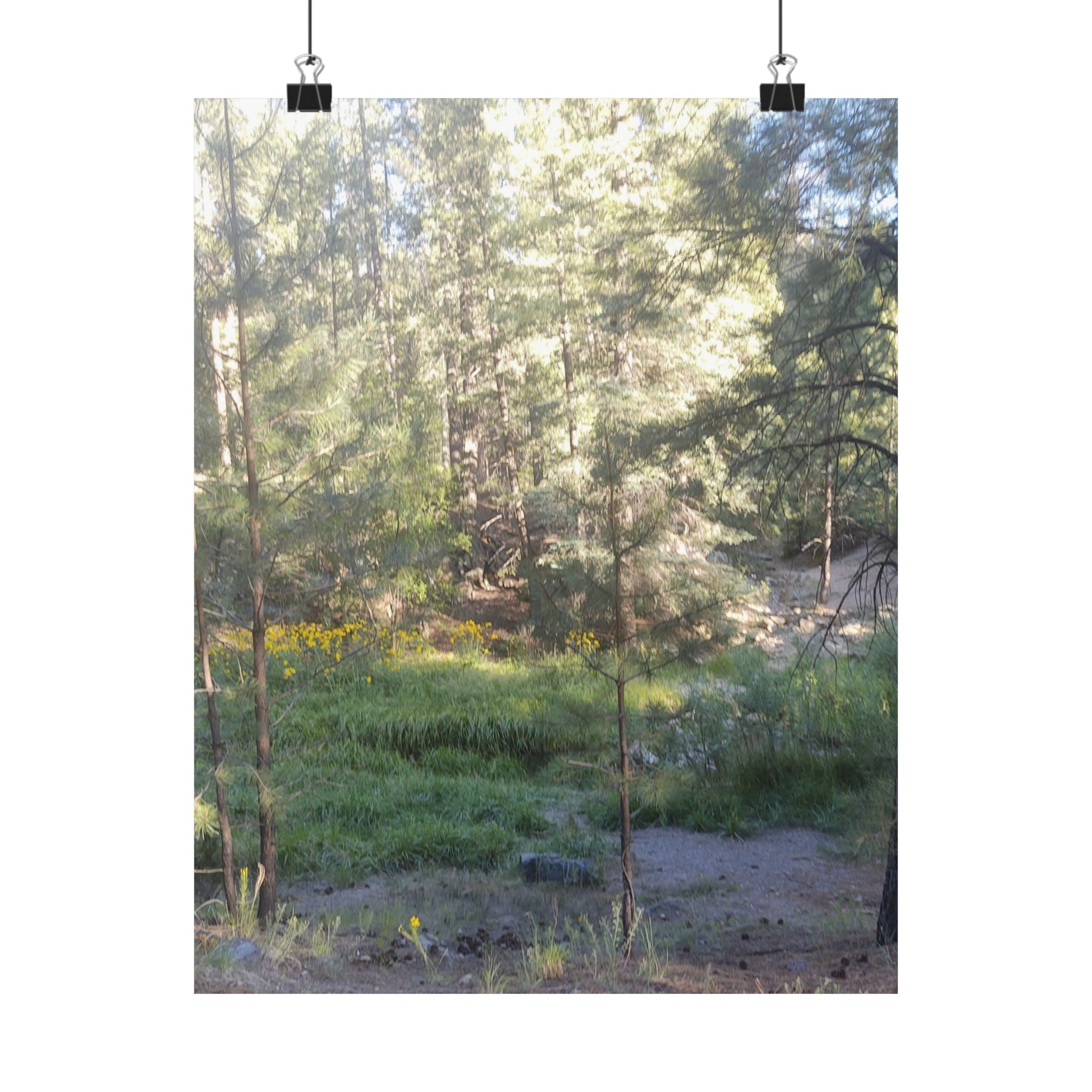 Nature-Inspired Matte Vertical Posters, Wall Art Prints, Home Decor, Aesthetic Decor, Nature Photography, Botanical Wall Art