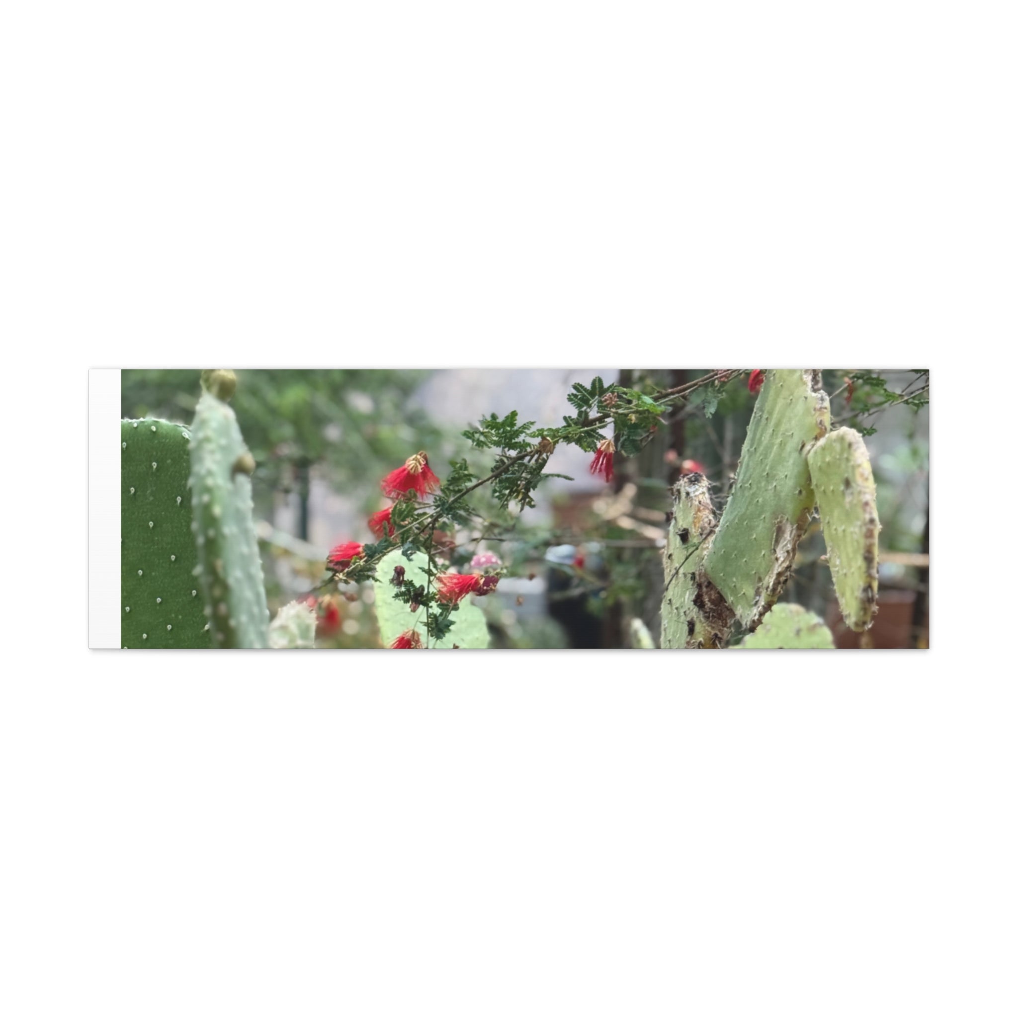 Cactus Wall Art Print, Nature Home Decor, Bohemian Style Artwork, Botanical Gift, Succulent Canvas