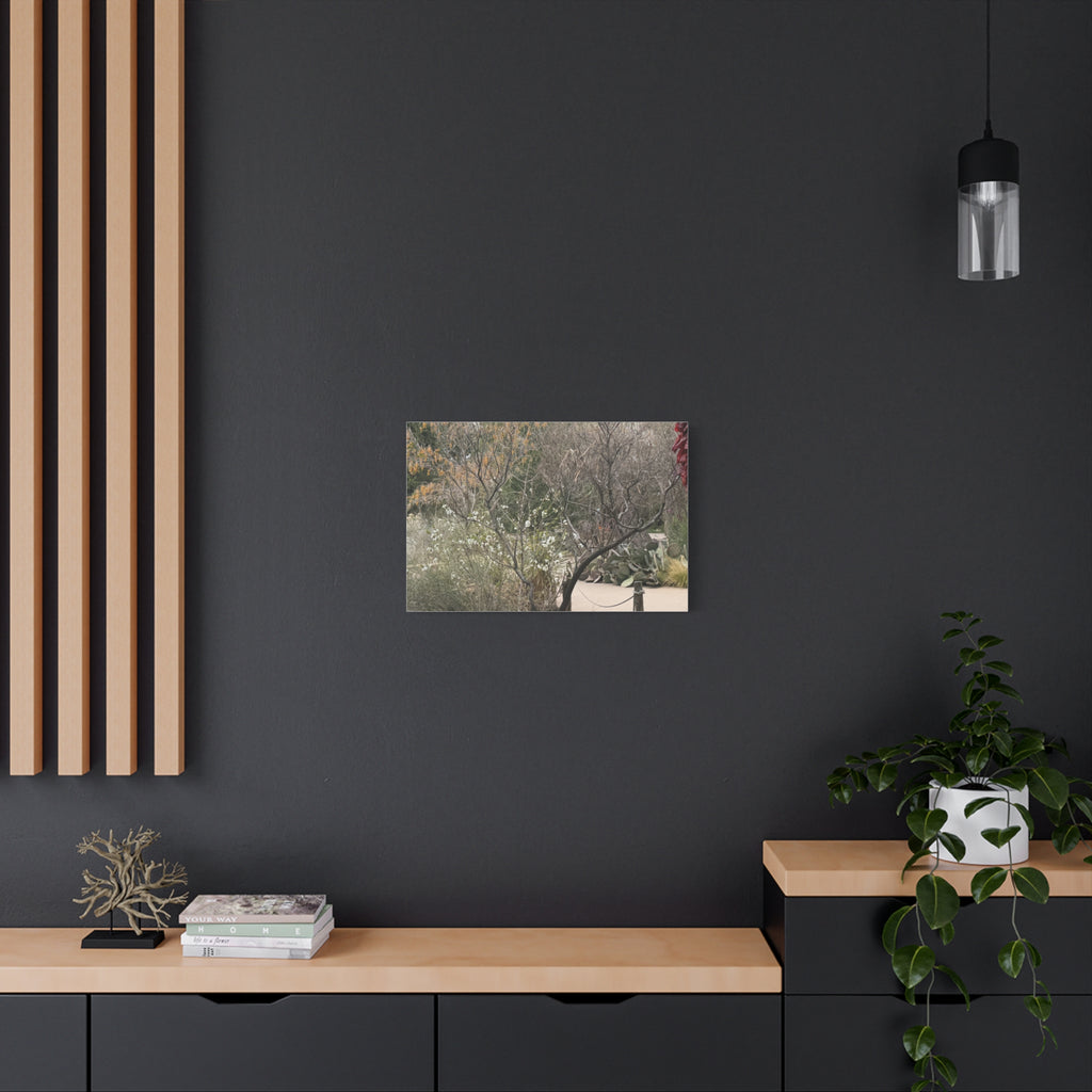 Classic Canvas Art Print, Bohemian Decor, Nature Wall Art, Home Gallery, Rustic Wall Decoration