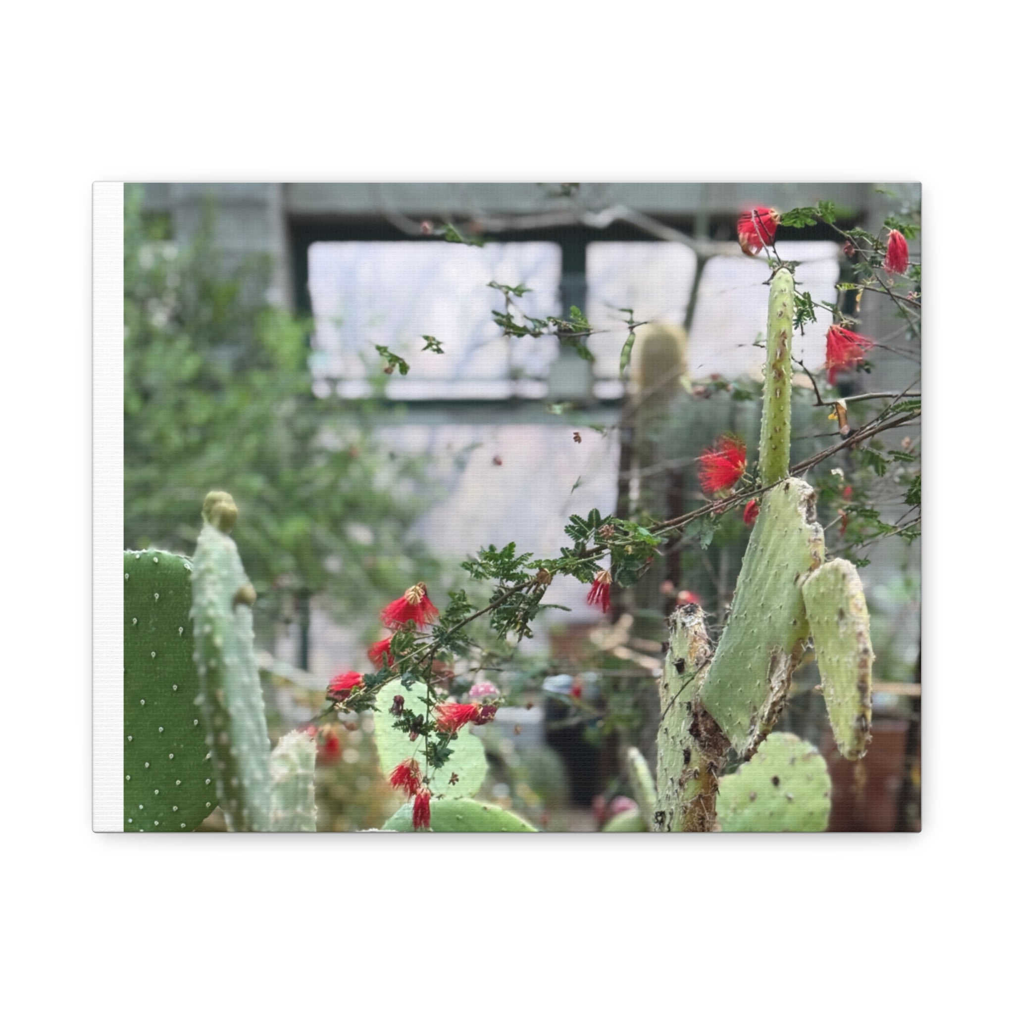 Cactus Wall Art Print, Nature Home Decor, Bohemian Style Artwork, Botanical Gift, Succulent Canvas