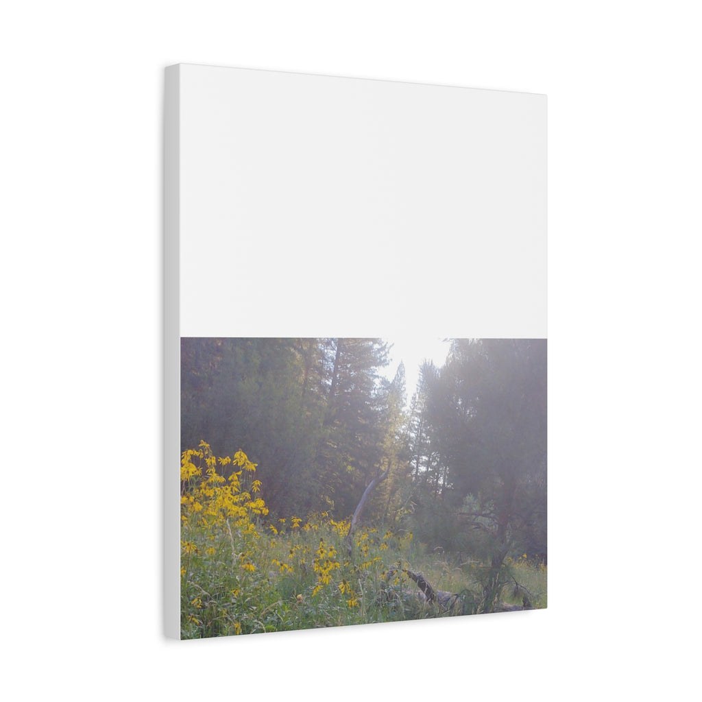 Matte Canvas, Stretched, 1.25"