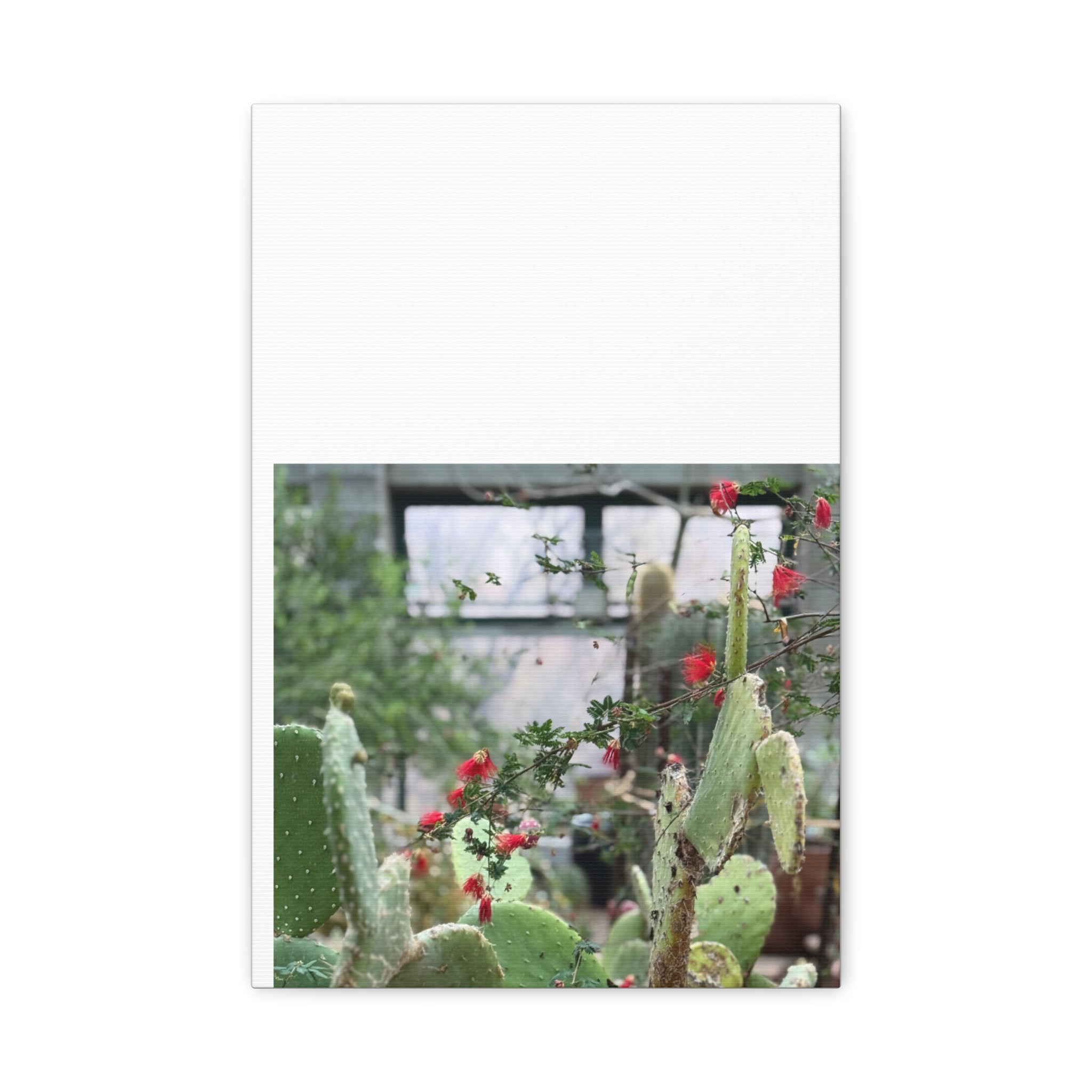 Cactus Wall Art Print, Nature Home Decor, Bohemian Style Artwork, Botanical Gift, Succulent Canvas