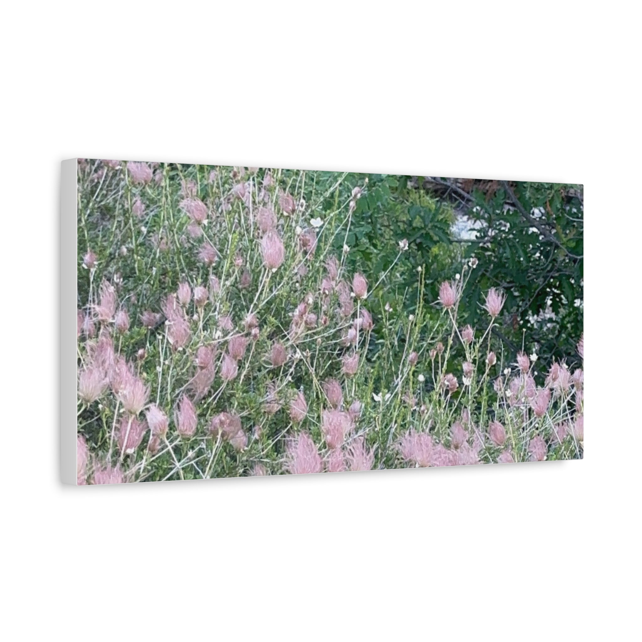 Floral Wall Art Canvas, Home Decor, Nature Lover Gift, Botanical Print, Spring Decor, Mother’s Day