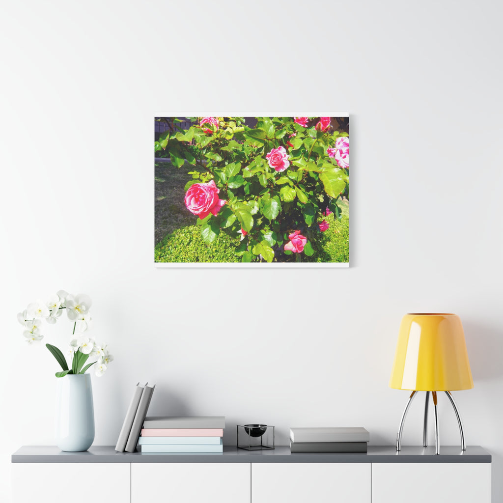 Floral Canvas Wall Art, Pink Rose Decor, Home Gallery Piece, Flower Photography, Garden Wall Decor, Floral Print