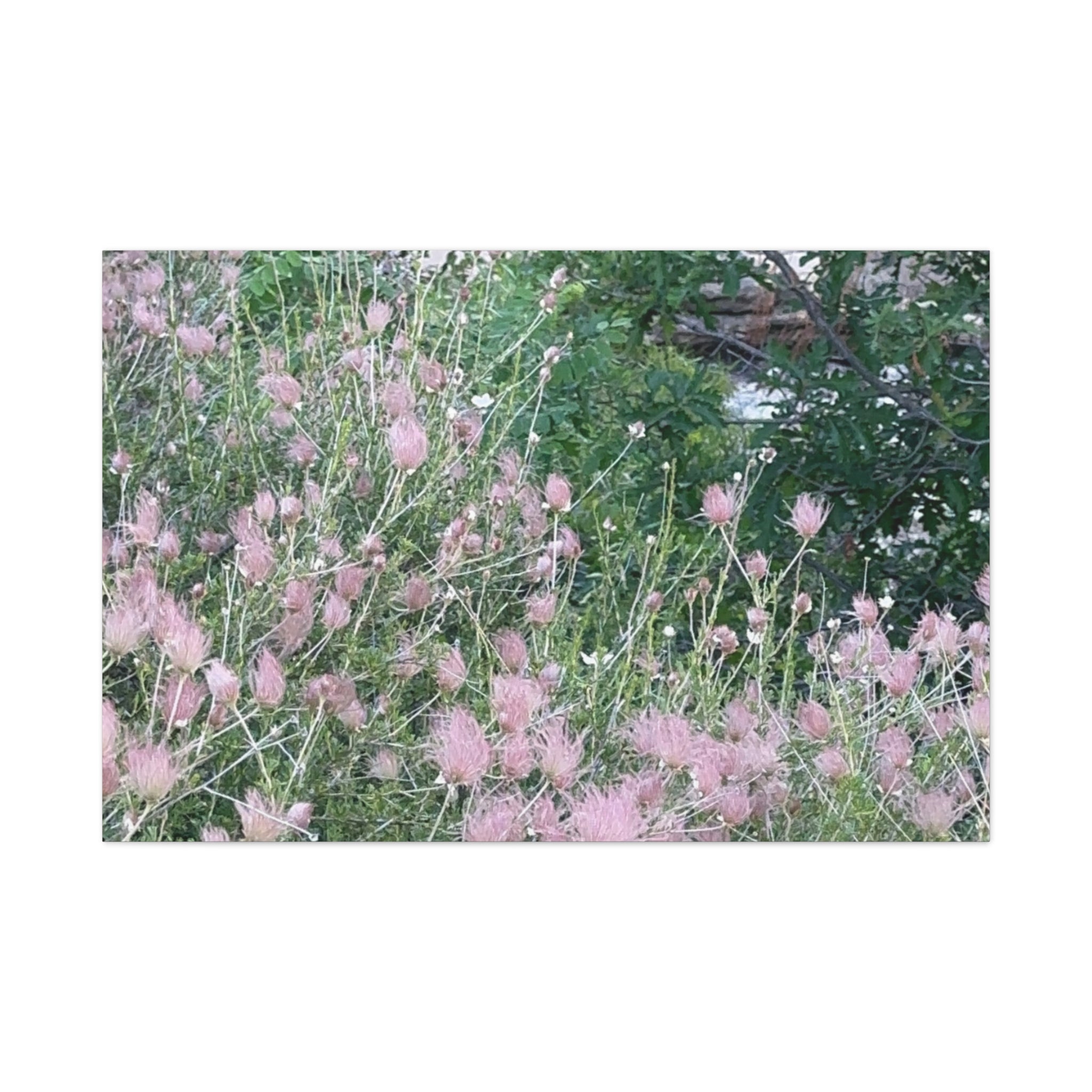 Floral Wall Art Canvas, Home Decor, Nature Lover Gift, Botanical Print, Spring Decor, Mother’s Day