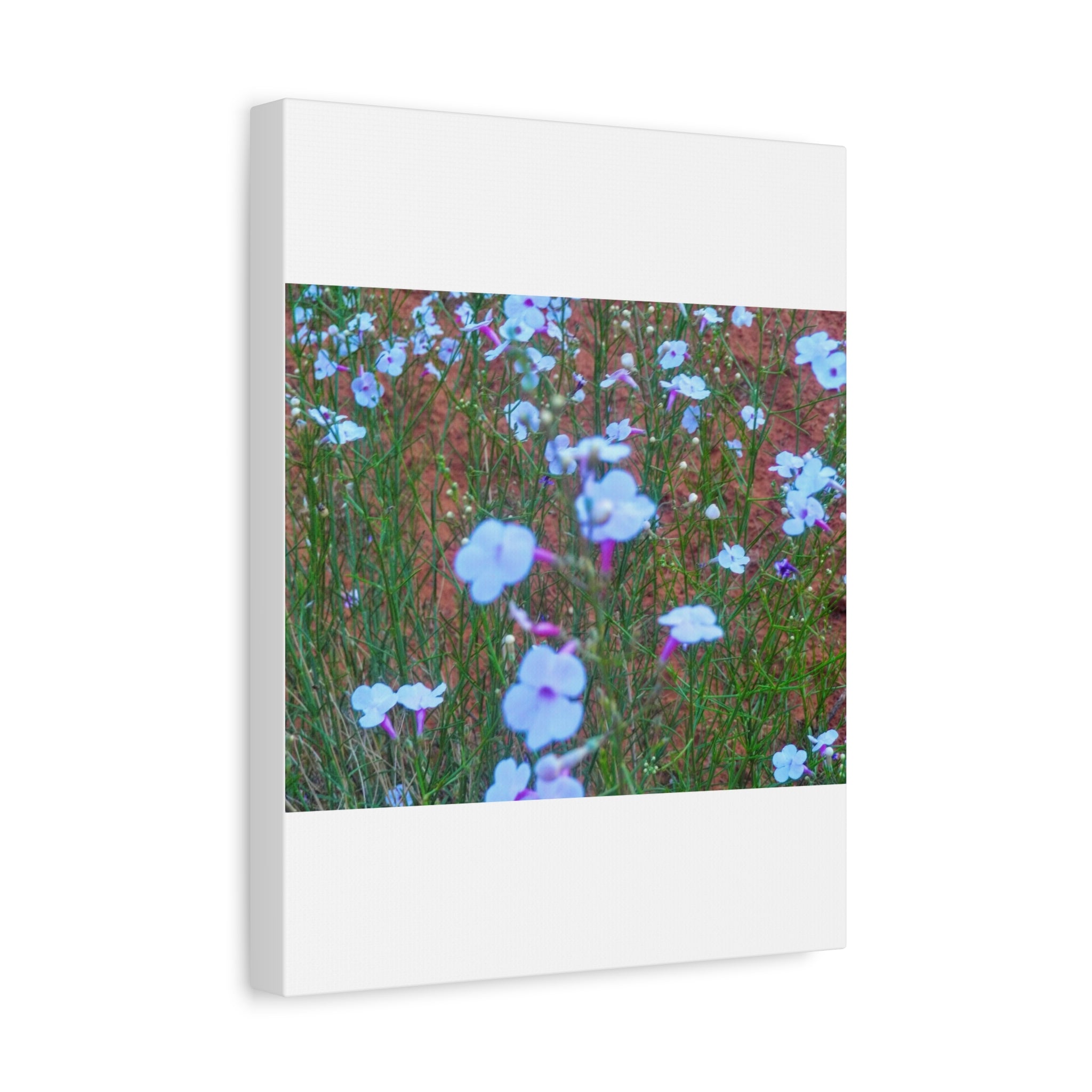 Floral Canvas Wall Art, Home Decor, Wall Hanging, Gift Idea, Nature Art, Flower Print