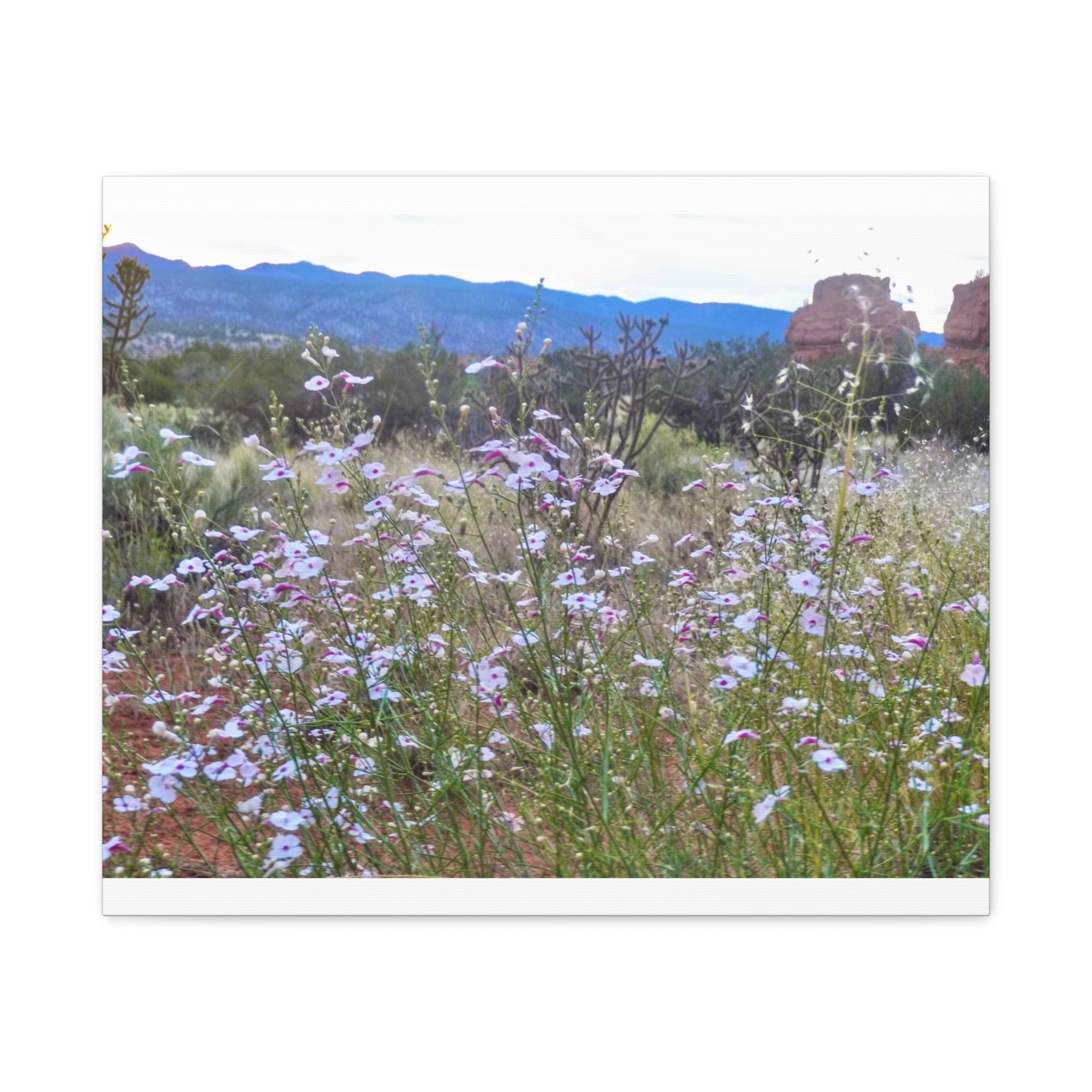 Floral Canvas Art Print, Nature Decor for Home, Wall Art for Office, Gift for Garden Lovers, Botanical Wall Decor, Spring Vibes