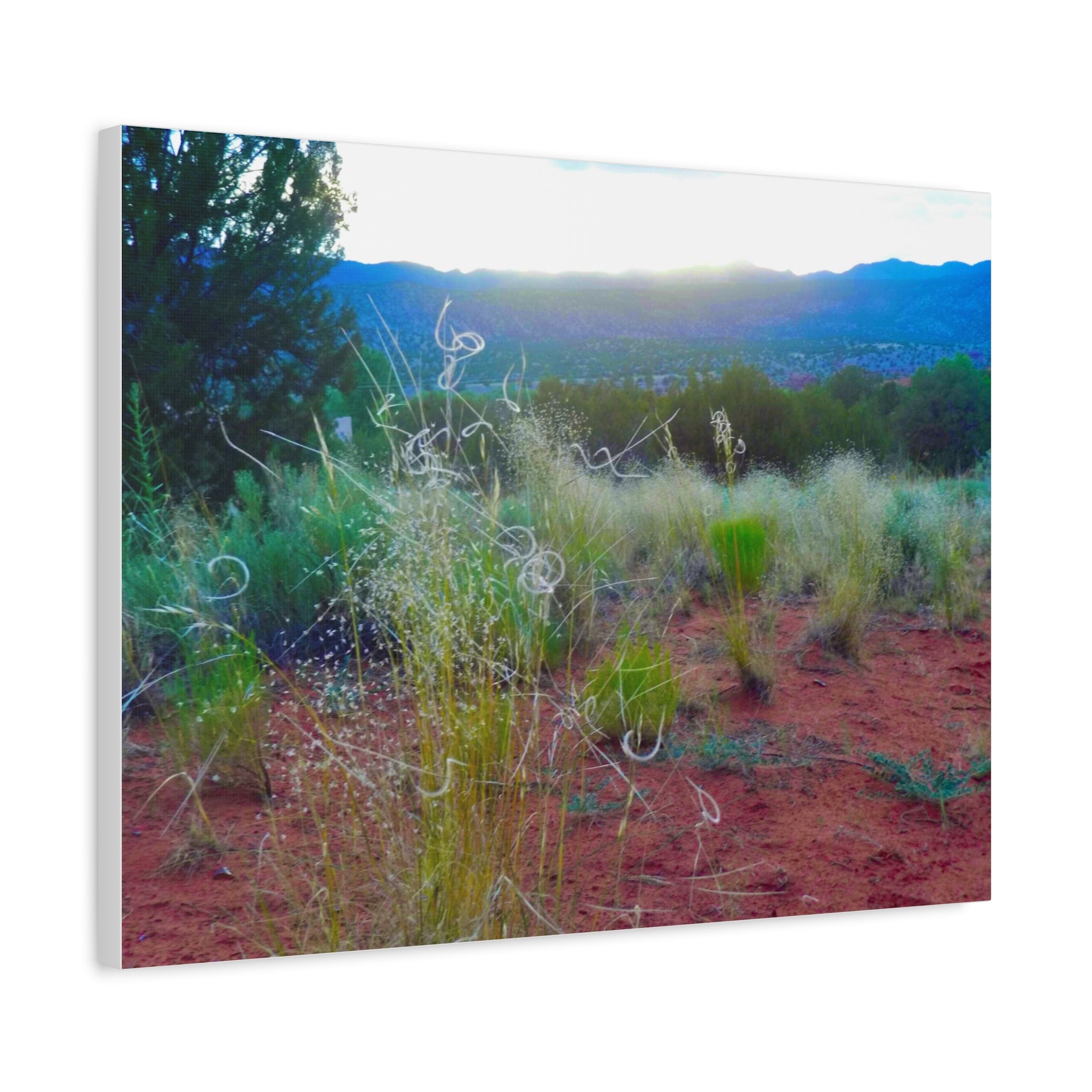 Stretched Canvas Art Print, Nature Wall Decor, Boho Home Decor, Rustic Landscape Art, Gift for Nature Lovers