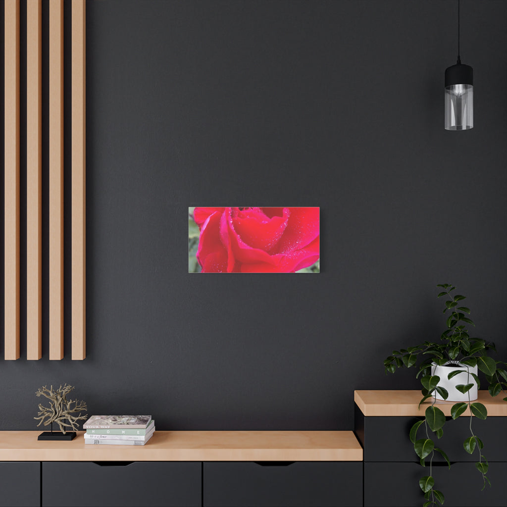 Stunning Floral Canvas Print, Home Decor, Wall Art, Gift for Flower Lovers, Red Rose Art, Mother's Day Gift