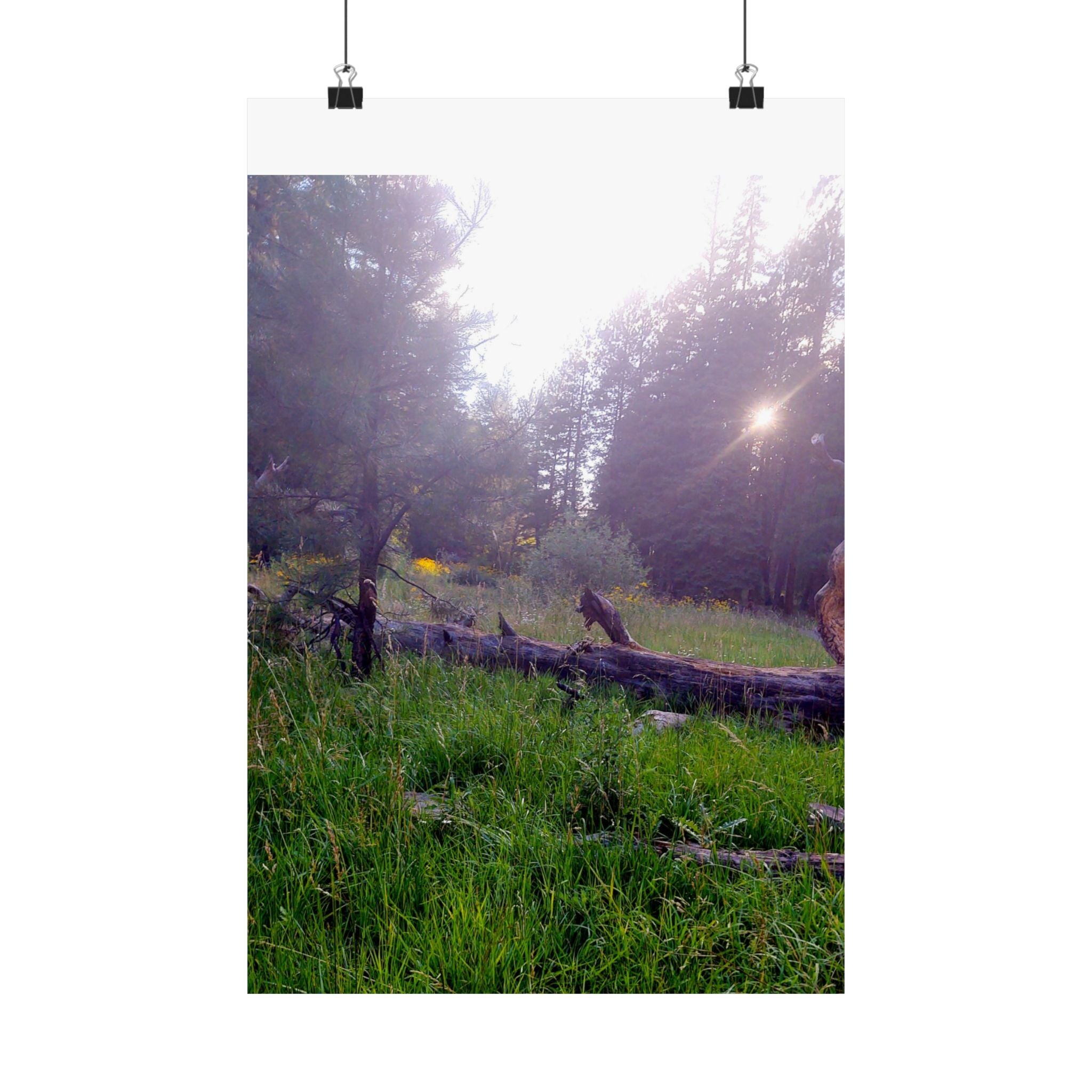 Nature-Inspired Matte Vertical Posters for Home Décor, Unique Wall Art Prints, Botanical Print Collection, Gifts for Nature Lovers, [...]