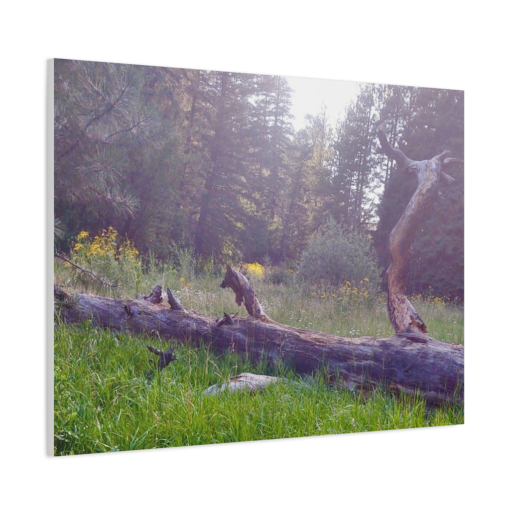 Matte Canvas Wall Art - Serene Nature Scene, Perfect for Home Decor, Gift for Nature Lovers, Office Wall Decoration, Rustic Art Print