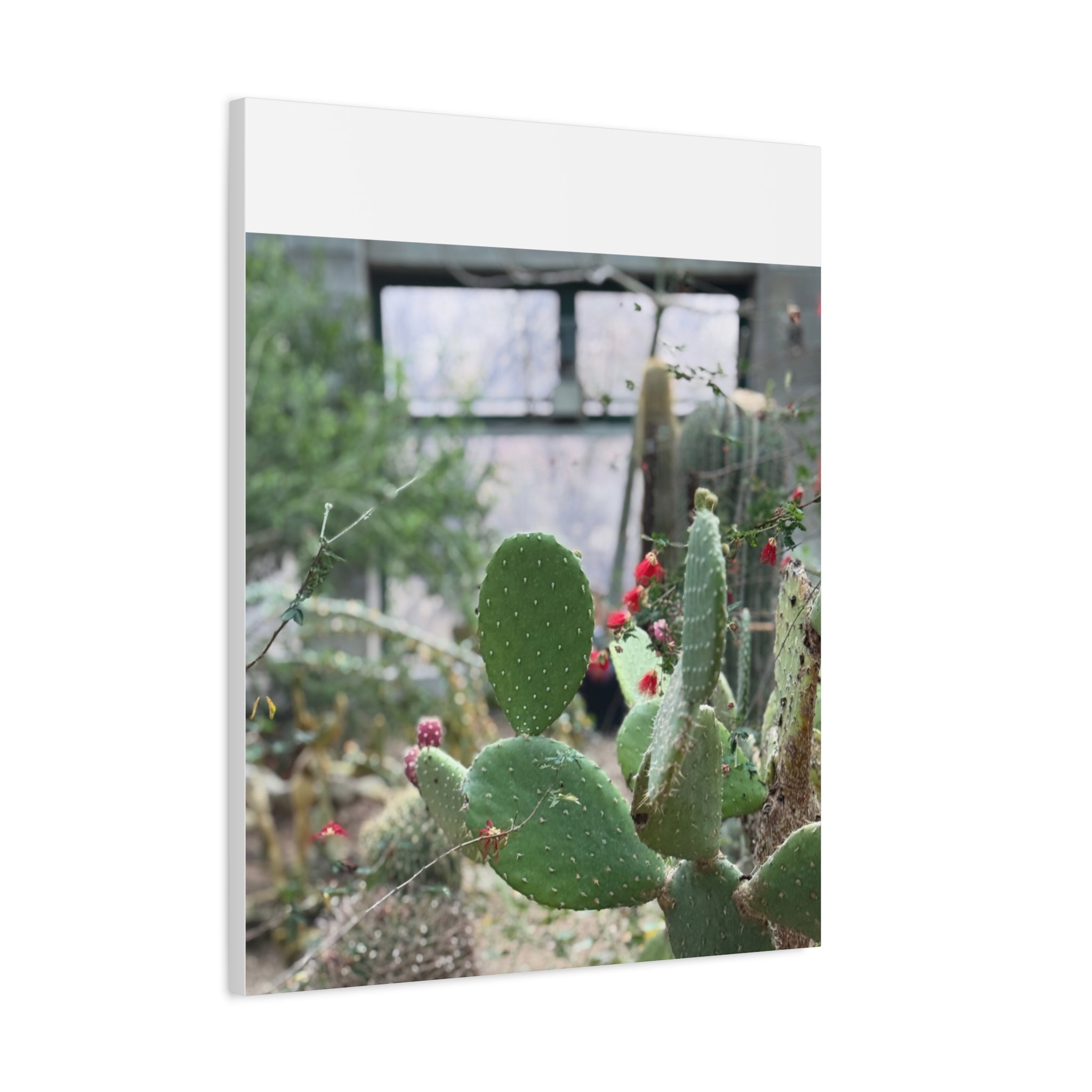 Cactus Matte Canvas Wall Art, Nature Decor, Southwestern Room Design, Green Plant Prints, Home and Office Wall Decor