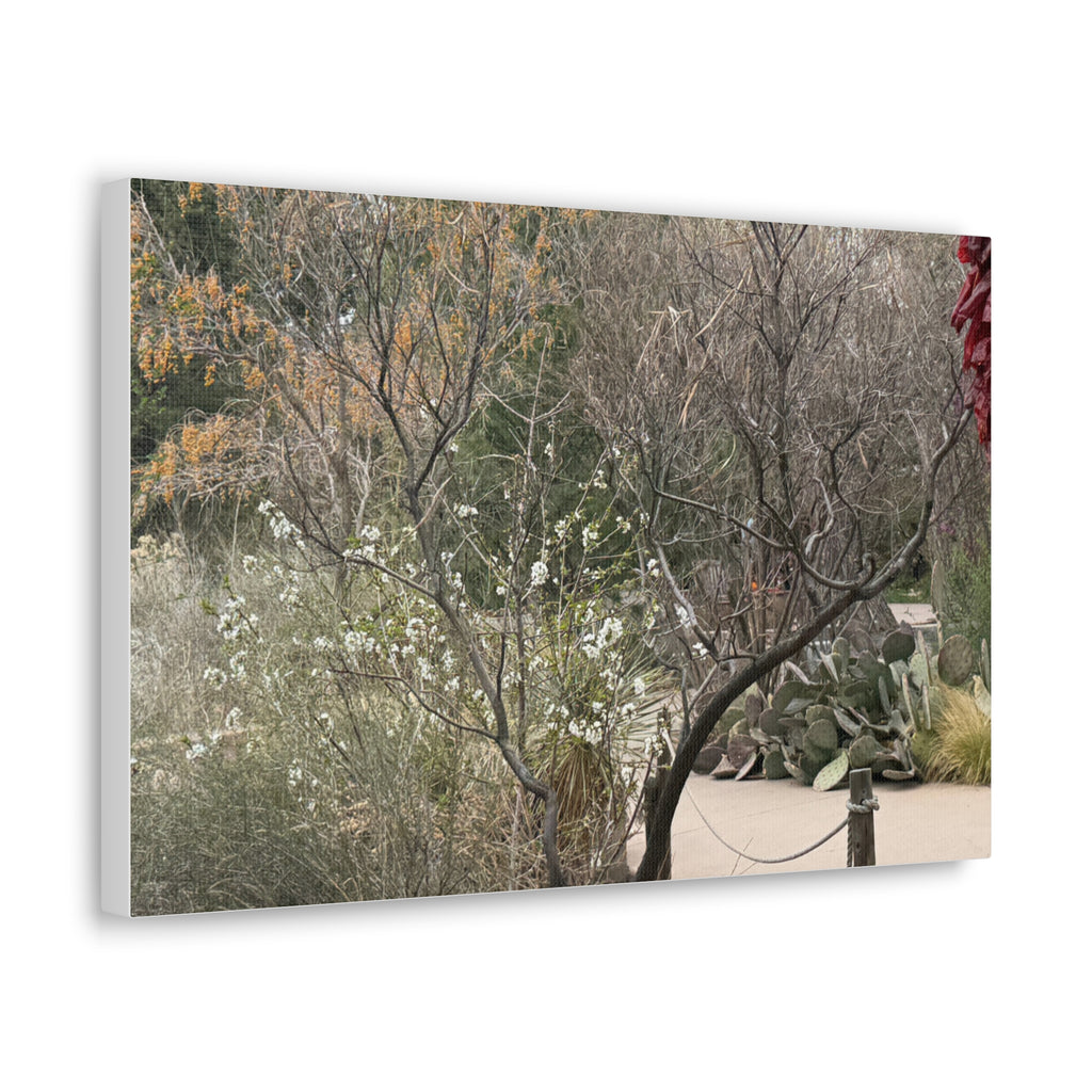 Classic Canvas Art Print, Bohemian Decor, Nature Wall Art, Home Gallery, Rustic Wall Decoration