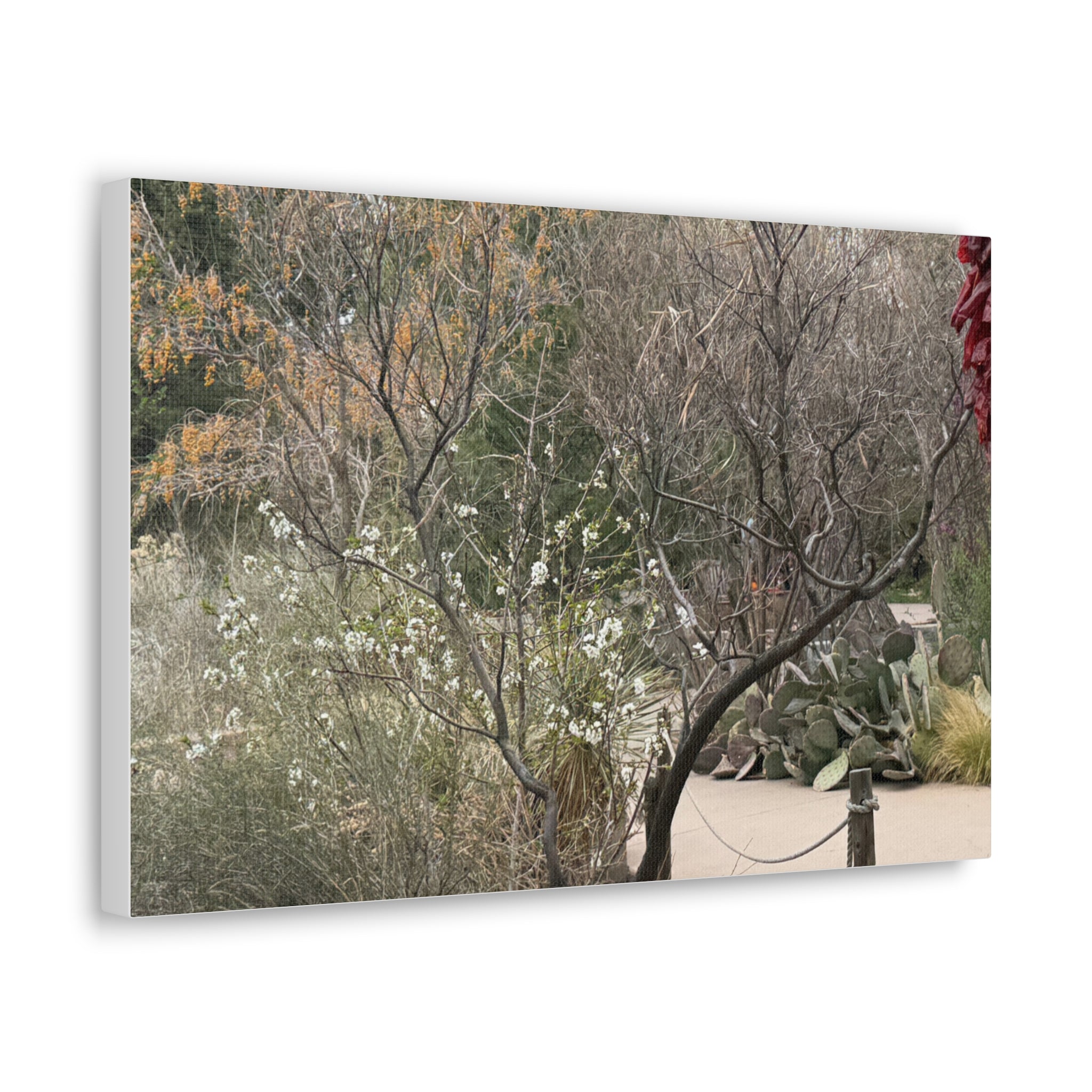 Classic Canvas Art Print, Bohemian Decor, Nature Wall Art, Home Gallery, Rustic Wall Decoration