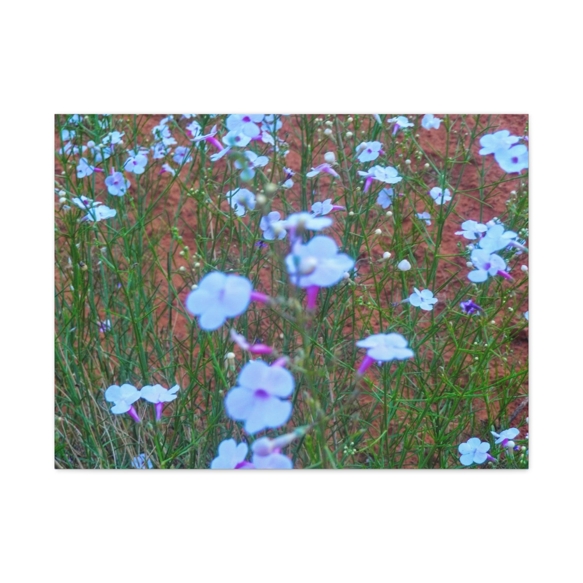 Floral Canvas Wall Art, Home Decor, Wall Hanging, Gift Idea, Nature Art, Flower Print