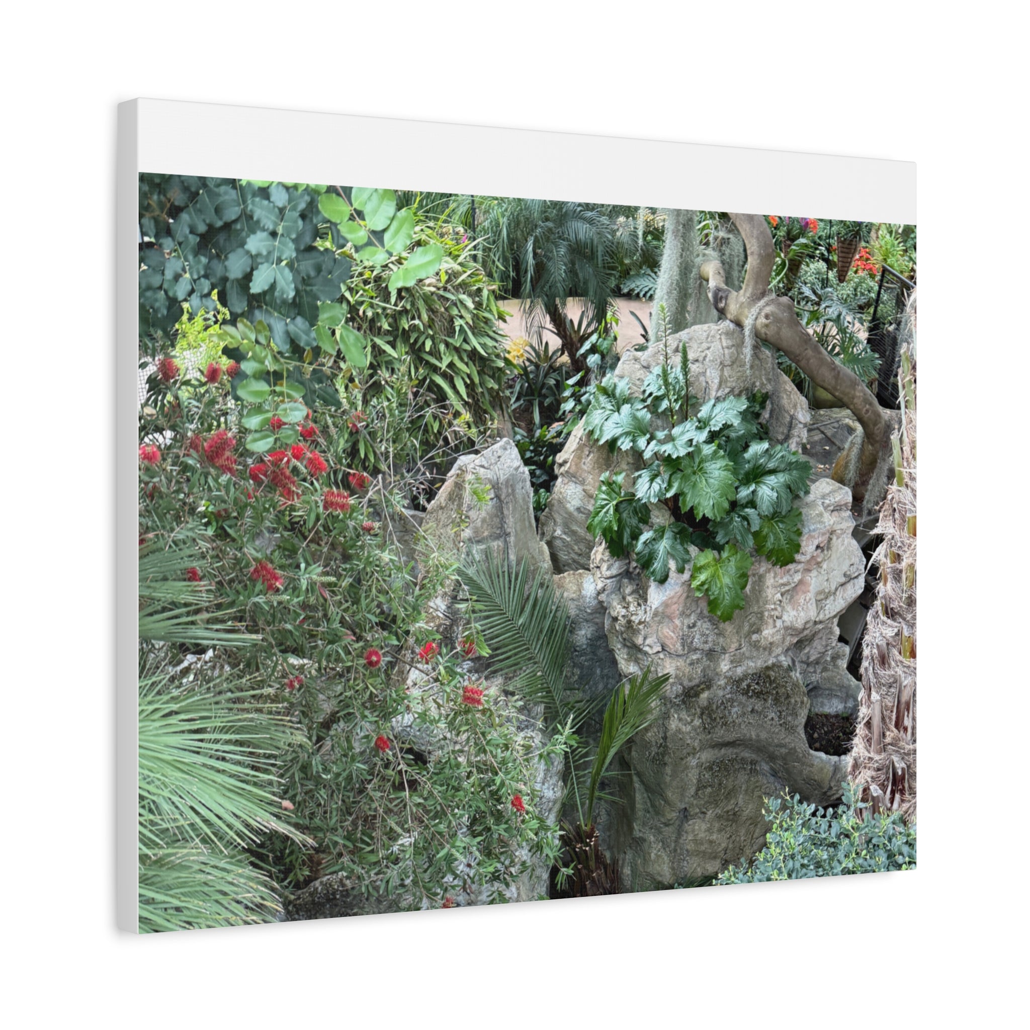Garden Landscape Canvas Wall Art, Nature Decor, Home Decoration, Gift for Nature Lovers, Eco-Friendly Art, Botanical Wall Decor