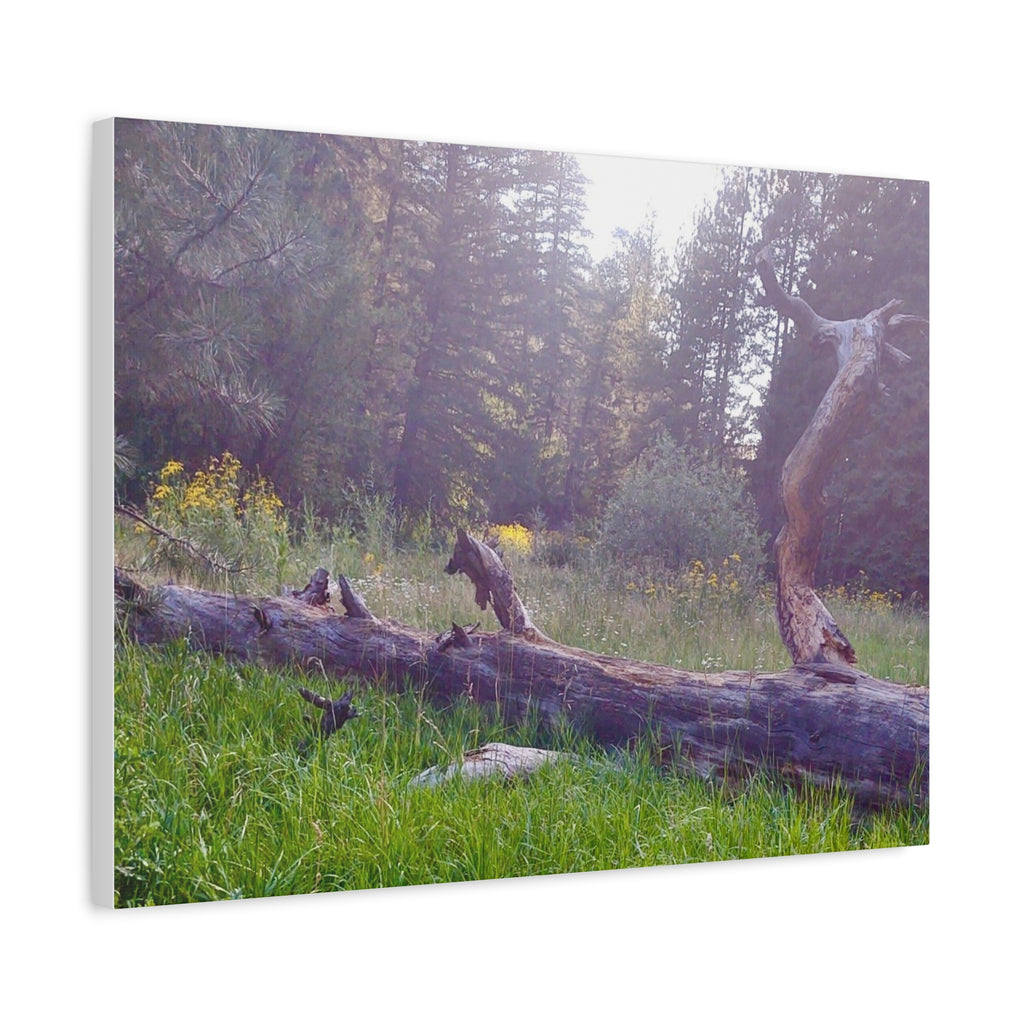 Matte Canvas Wall Art - Serene Nature Scene, Perfect for Home Decor, Gift for Nature Lovers, Office Wall Decoration, Rustic Art Print