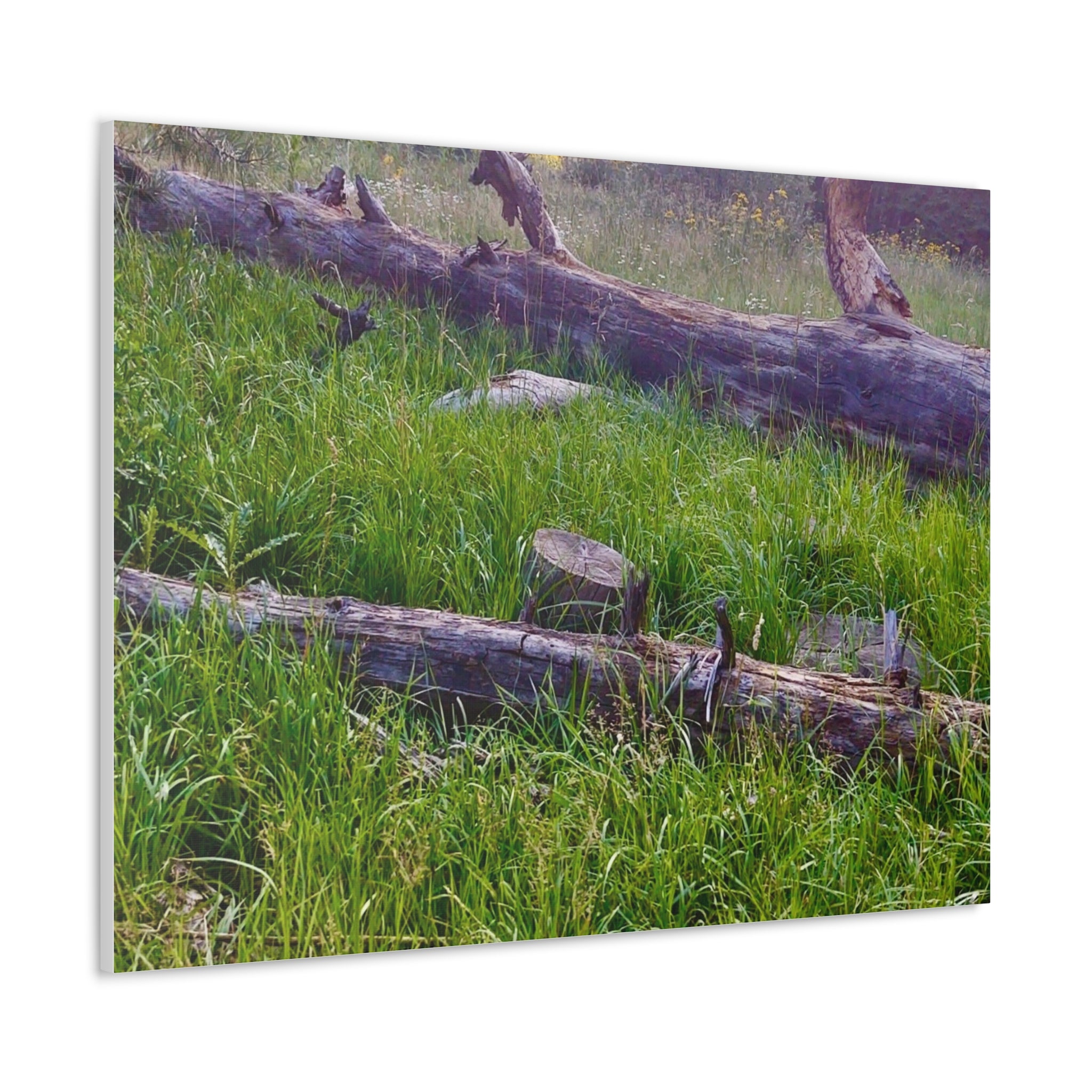Classic Canvas Wall Art - Nature Decor, Outdoor Wall Hanging, Home Aesthetic, Gift for Nature Lovers, Rustic Cabin Decor