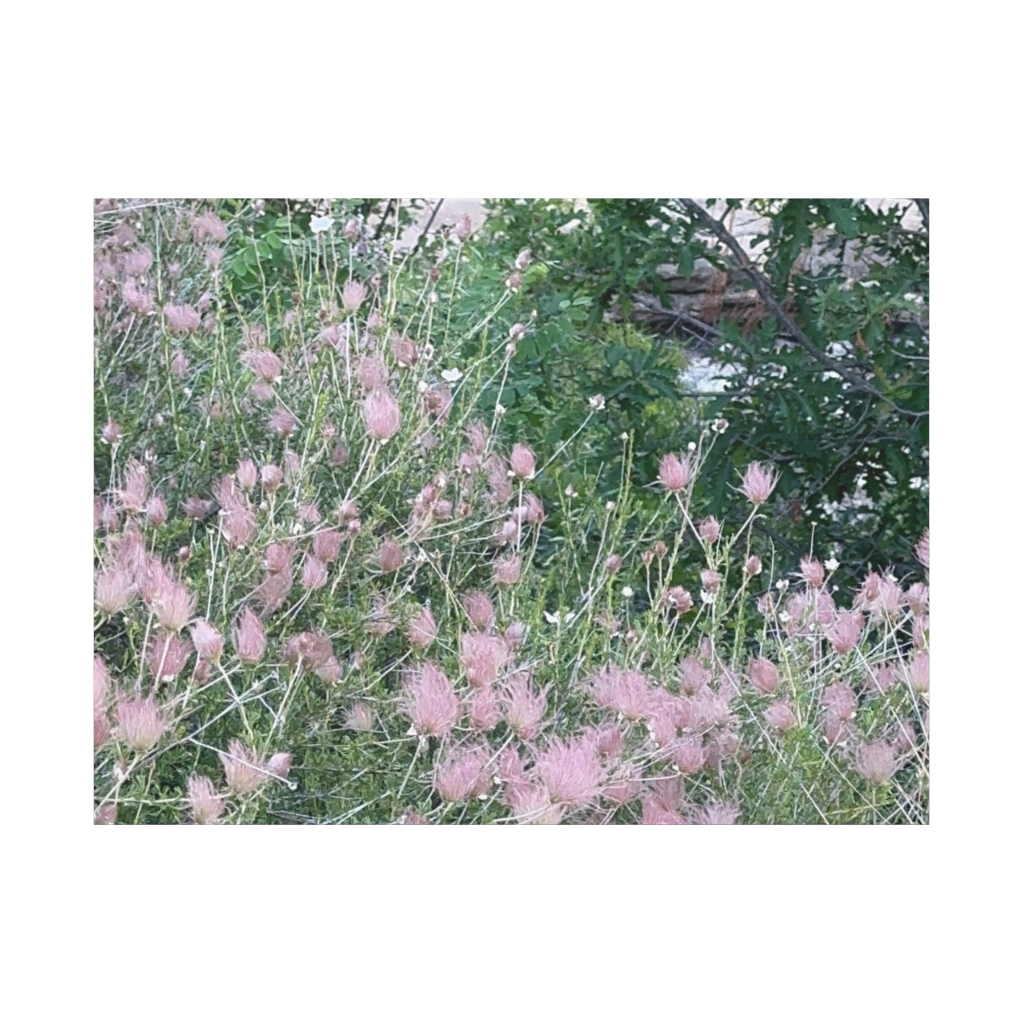 Floral Wall Art Canvas, Home Decor, Nature Lover Gift, Botanical Print, Spring Decor, Mother’s Day