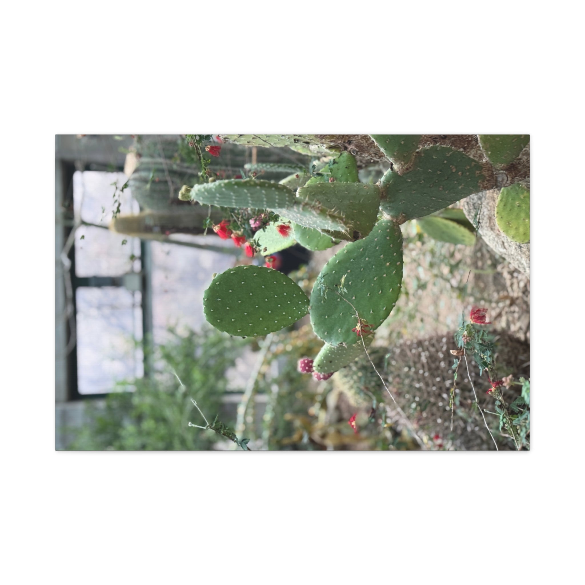 Cactus Wall Art Canvas Print, Nature Décor for Home, Office, Gift for Cactus Lovers, Unique Plant Themed Artwork, Desert Vibe Decor