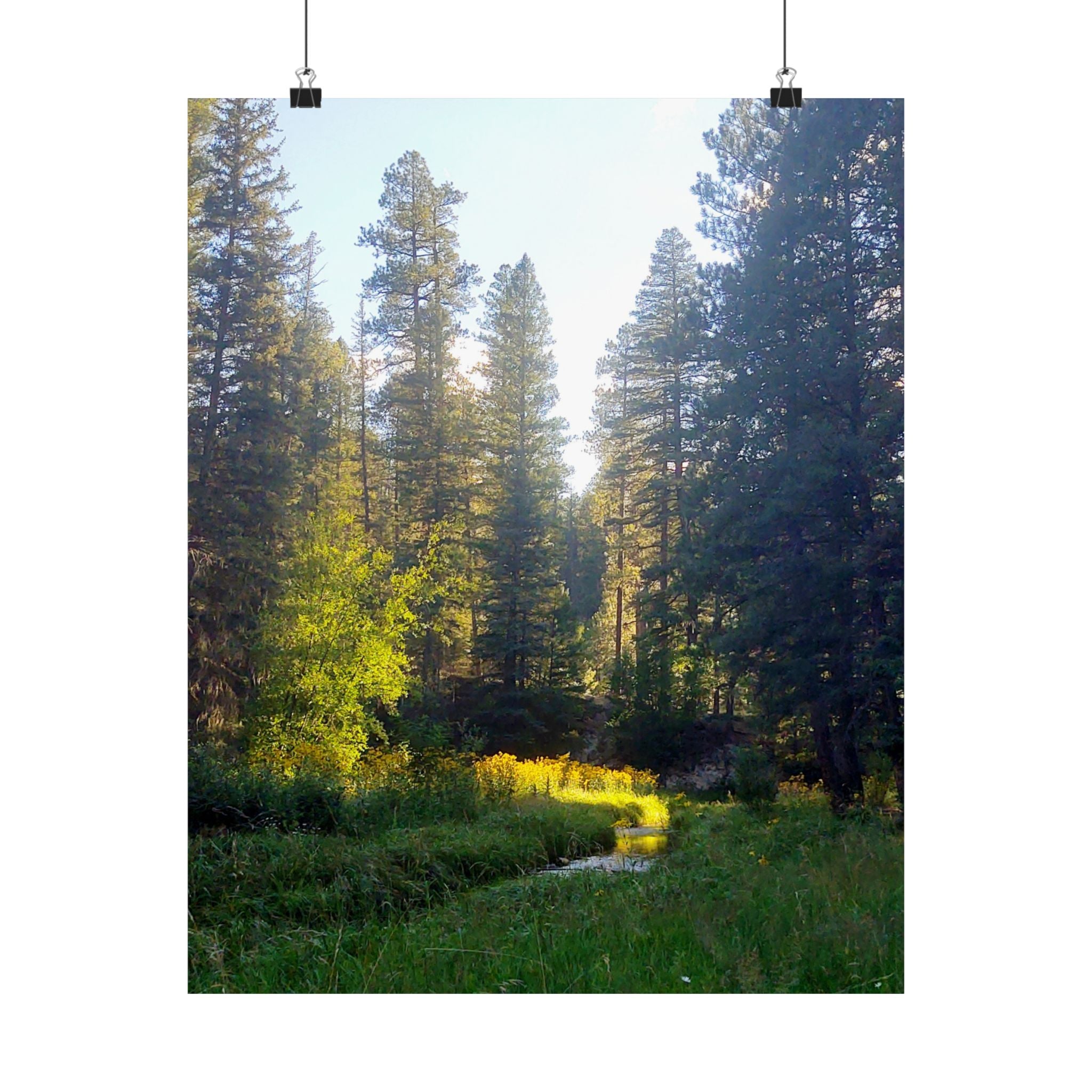 Serene Nature Poster, Wall Art Print, Forest Decor, Botanical Photography, Home Office Artwork