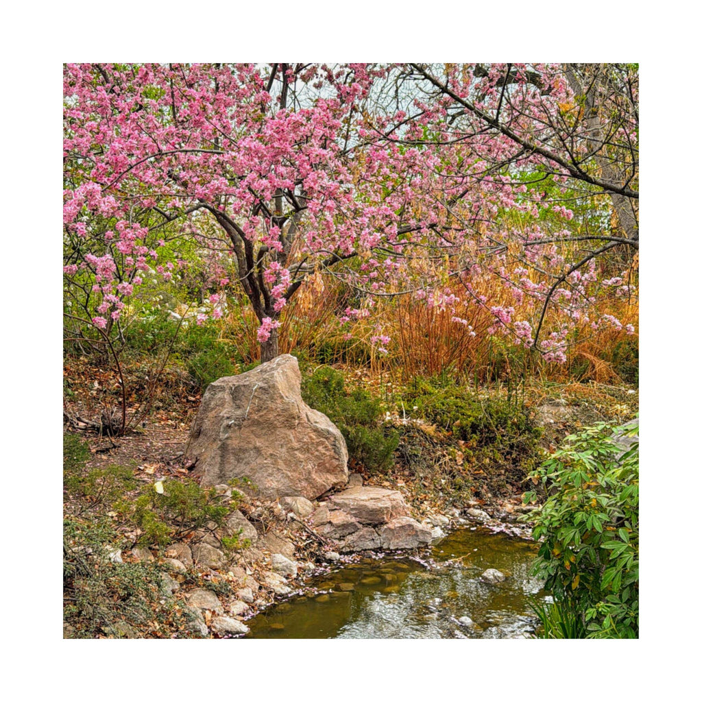 Nature-Inspired Matte Vertical Posters, Floral Wall Art, Spring Décor, Aesthetic Home Decor, Gift for Nature Lovers, Botanical Prints