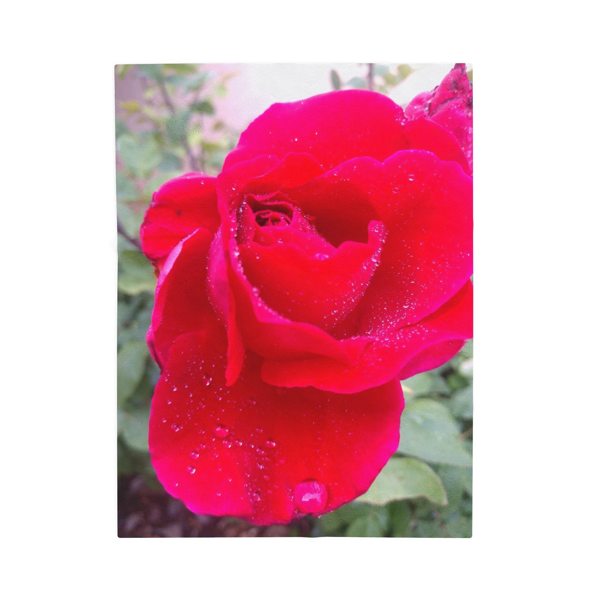 Cozy Floral Velveteen Plush Blanket - Perfect for Relaxation, Home Décor, Gifts, and Special Occasions