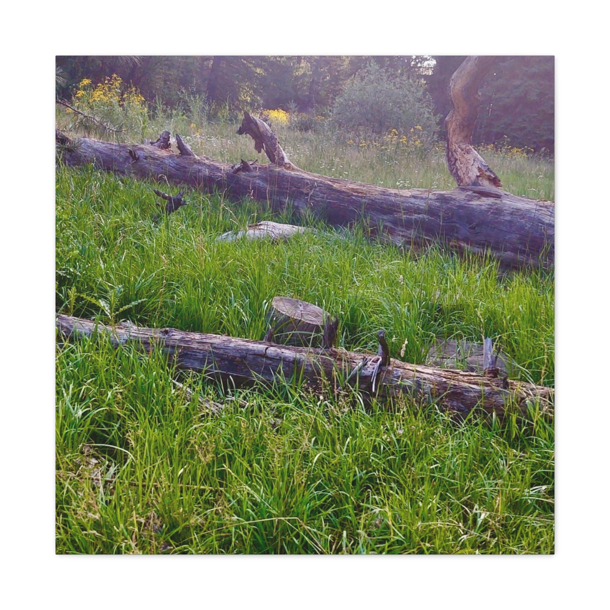 Classic Canvas Wall Art - Nature Decor, Outdoor Wall Hanging, Home Aesthetic, Gift for Nature Lovers, Rustic Cabin Decor