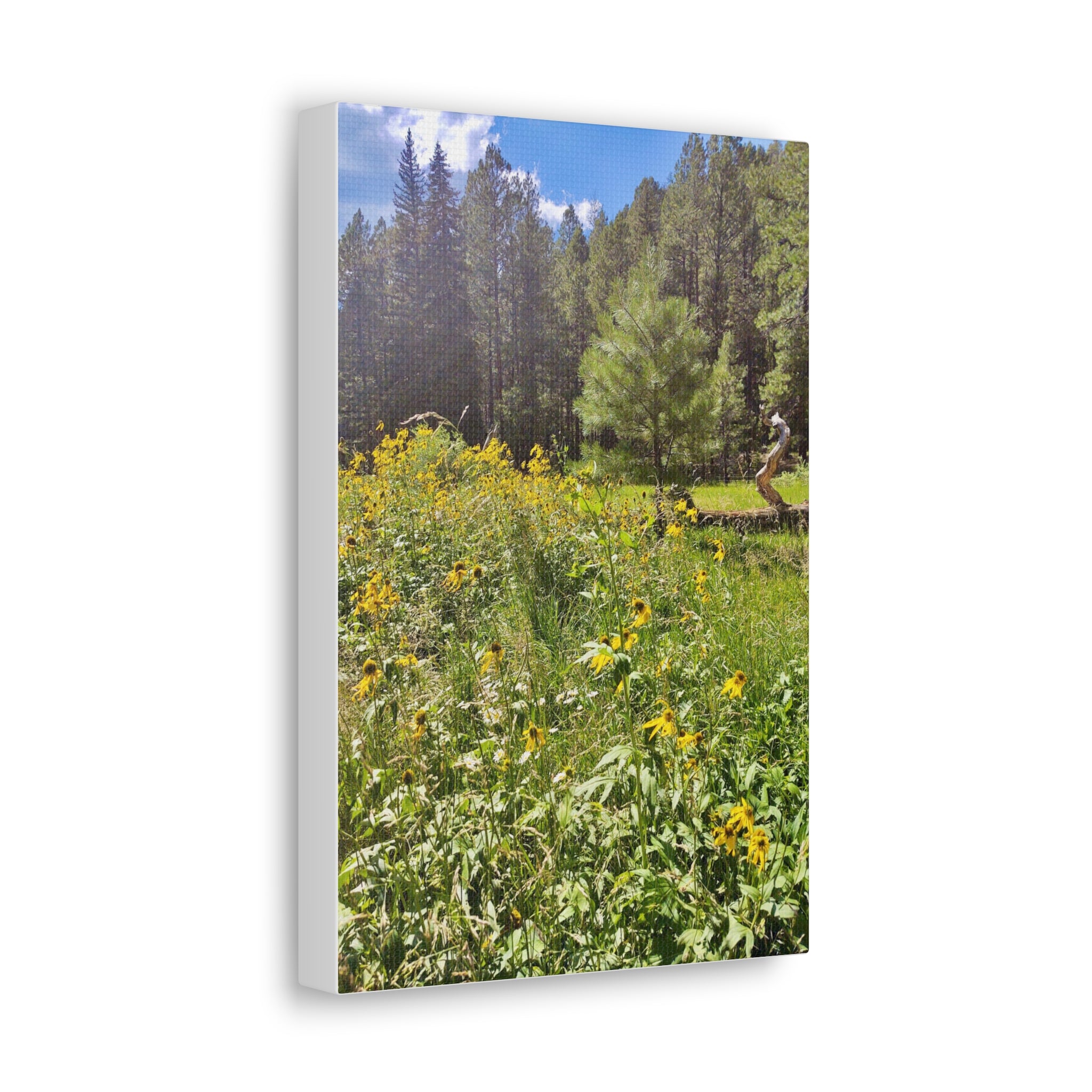 Canvas Wall Art, Nature Photography Decor, Floral Home Decor, Greenery Art Print, Gift for Nature Lovers