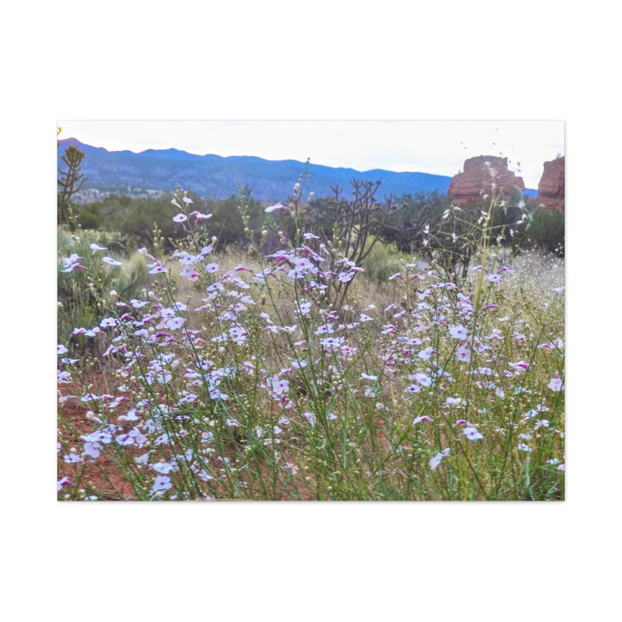 Floral Canvas Art Print, Nature Decor for Home, Wall Art for Office, Gift for Garden Lovers, Botanical Wall Decor, Spring Vibes