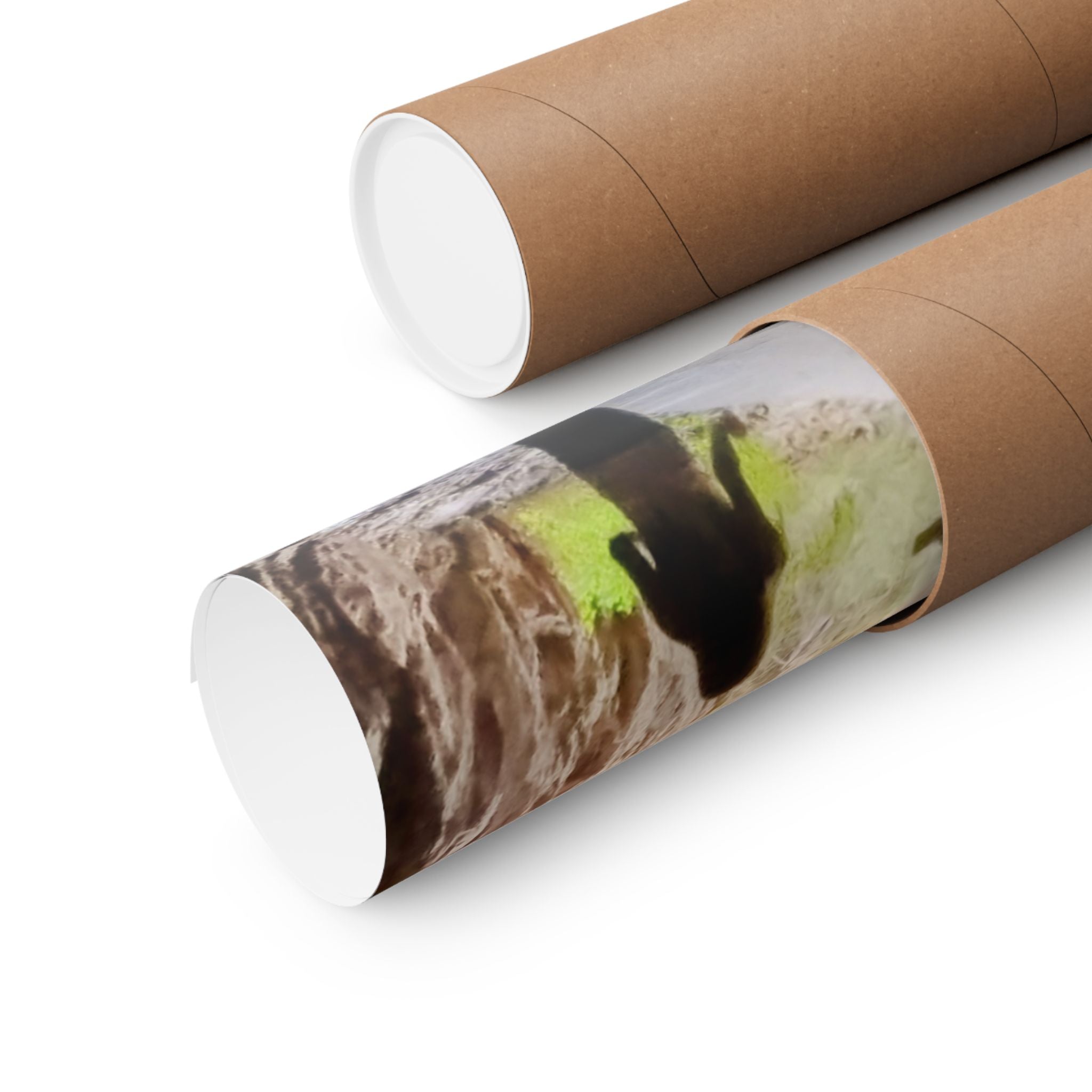 Scenic Vertical Wall Art Posters, Nature Photography Prints for Home Decor, Children Art, Gift for Nature Lovers, Adventure Decor