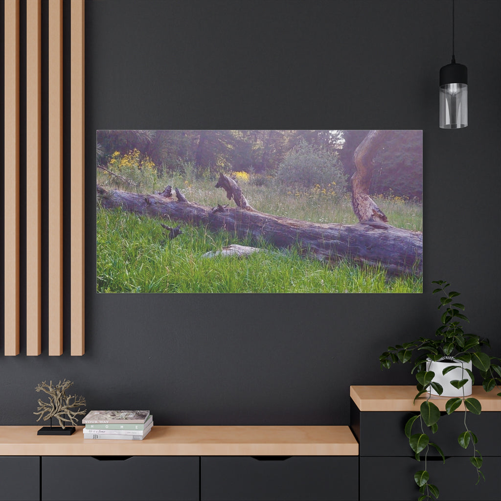 Matte Canvas Wall Art - Serene Nature Scene, Perfect for Home Decor, Gift for Nature Lovers, Office Wall Decoration, Rustic Art Print