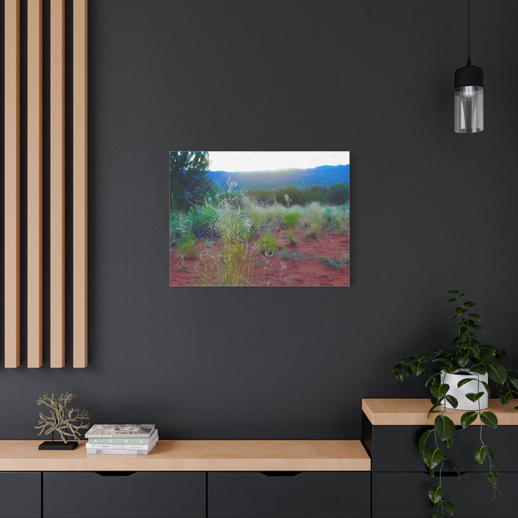 Stretched Canvas Art Print, Nature Wall Decor, Boho Home Decor, Rustic Landscape Art, Gift for Nature Lovers