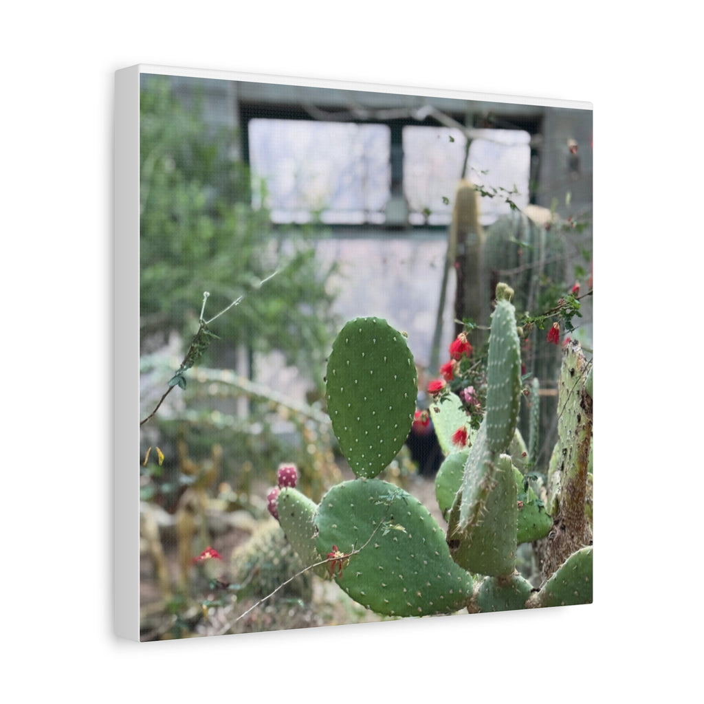 Cactus Matte Canvas Wall Art, Nature Decor, Southwestern Room Design, Green Plant Prints, Home and Office Wall Decor