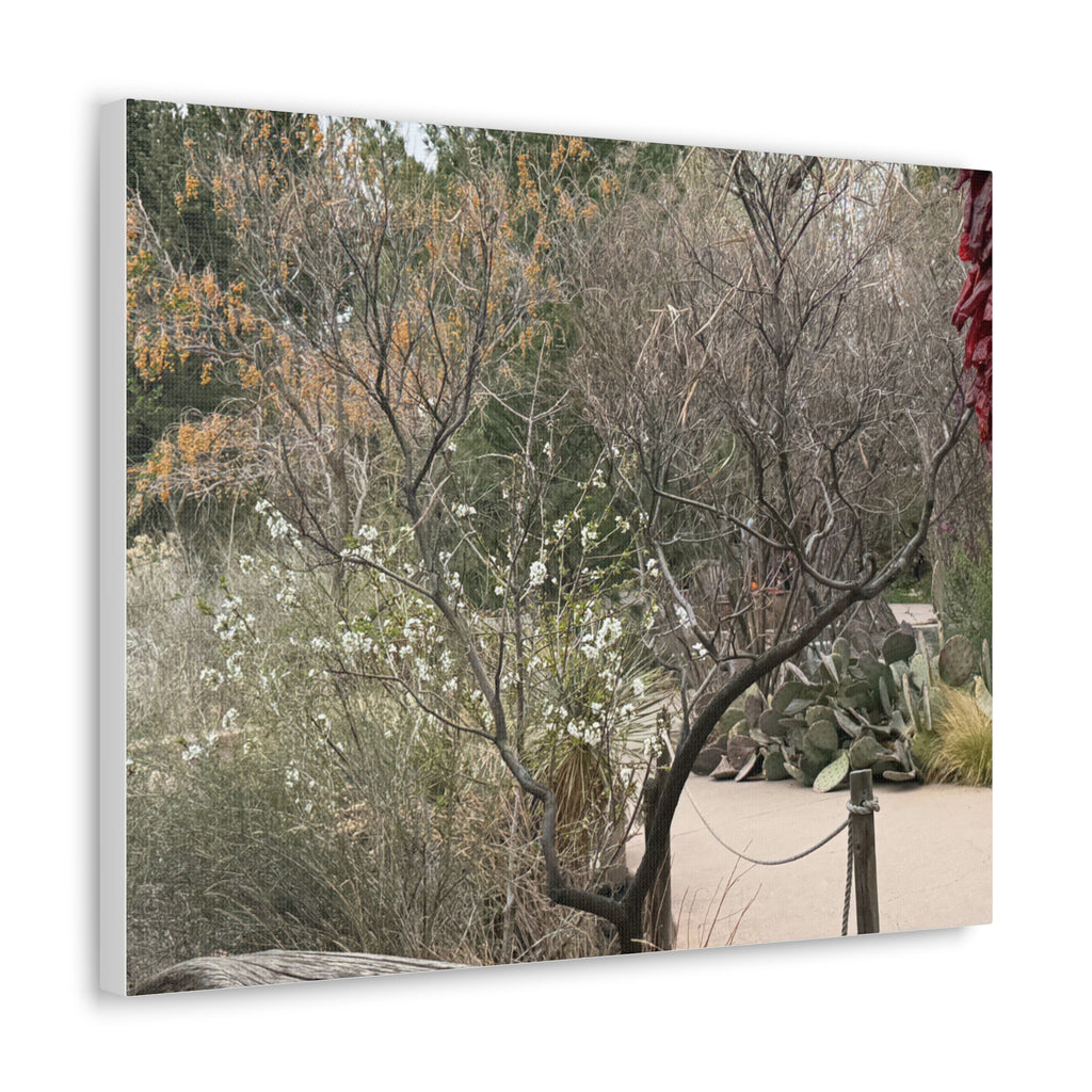 Classic Canvas Art Print, Bohemian Decor, Nature Wall Art, Home Gallery, Rustic Wall Decoration