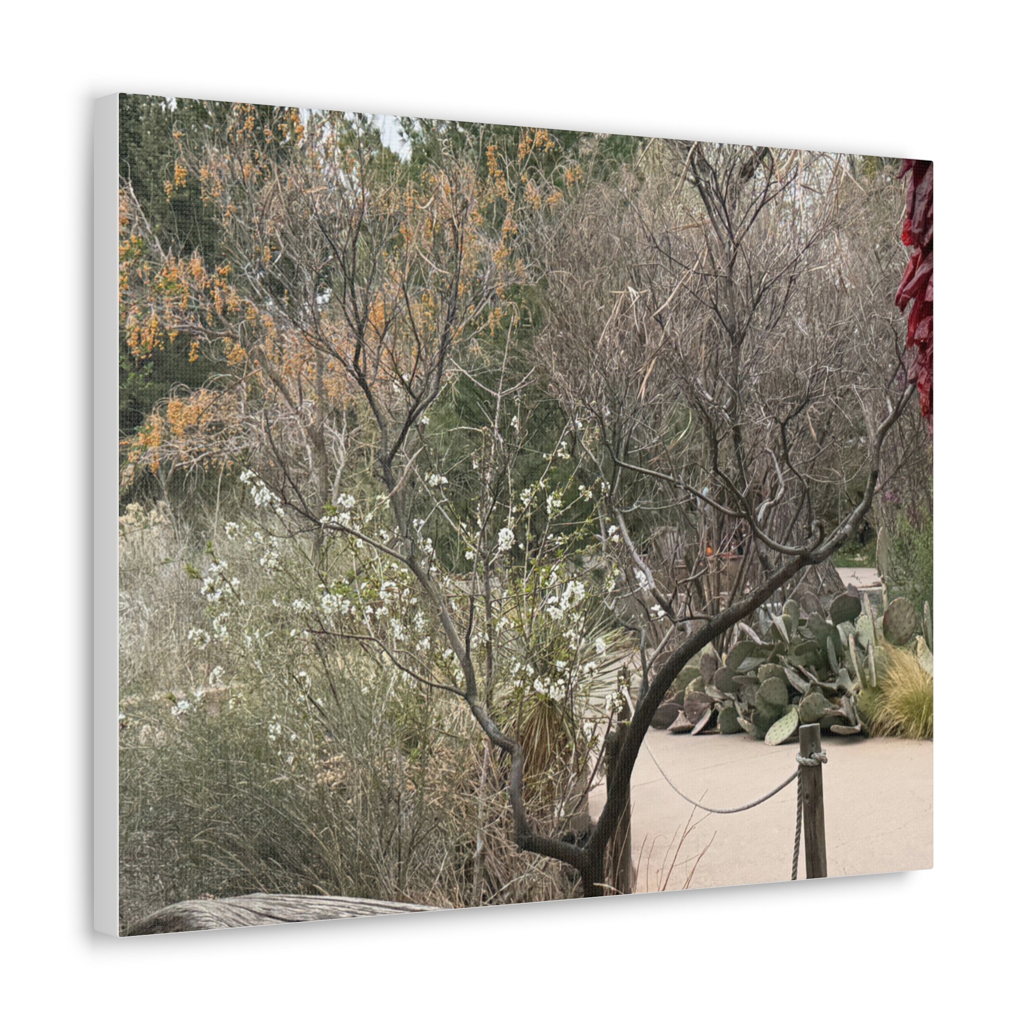 Classic Canvas Art Print, Bohemian Decor, Nature Wall Art, Home Gallery, Rustic Wall Decoration