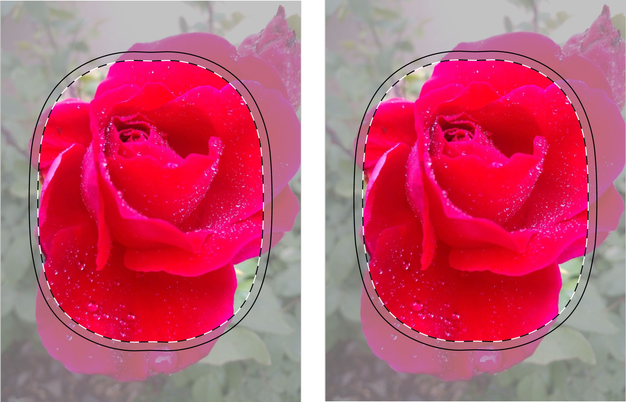 Stylish AirPods Max Shell Case, Floral Accessory, Gift for Music Lovers, Rose Print, AirPods Protector, Unique Tech Case