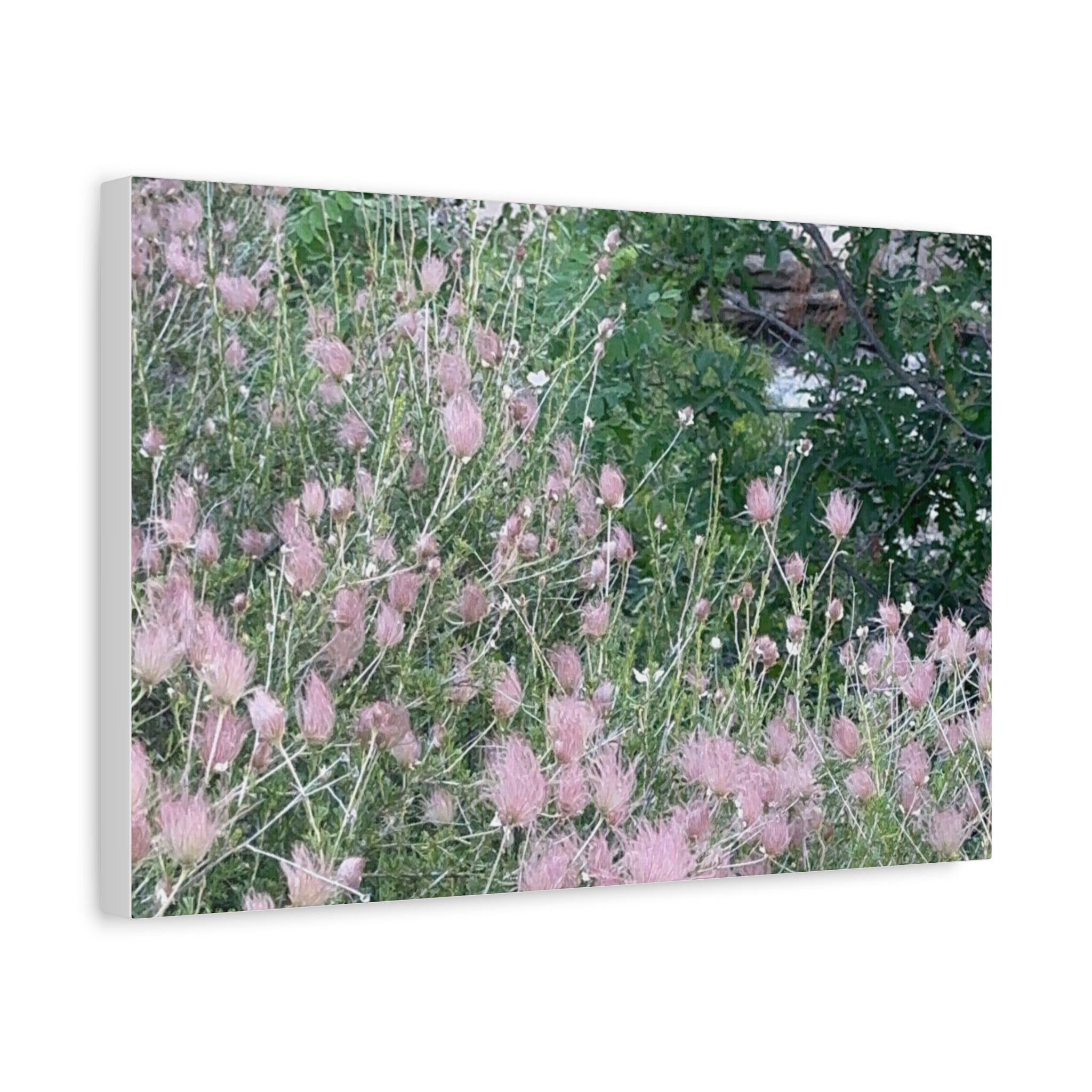 Floral Wall Art Canvas, Home Decor, Nature Lover Gift, Botanical Print, Spring Decor, Mother’s Day