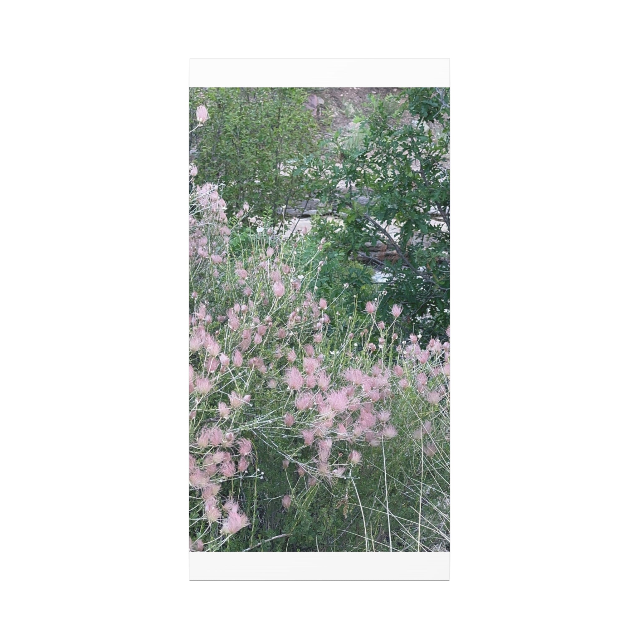 Floral Wall Art Canvas, Home Decor, Nature Lover Gift, Botanical Print, Spring Decor, Mother’s Day