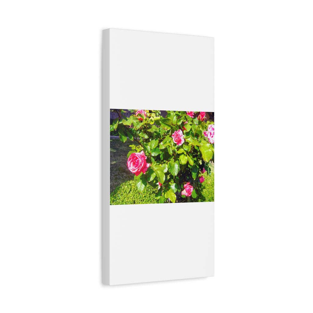 Floral Canvas Wall Art, Pink Rose Decor, Home Gallery Piece, Flower Photography, Garden Wall Decor, Floral Print