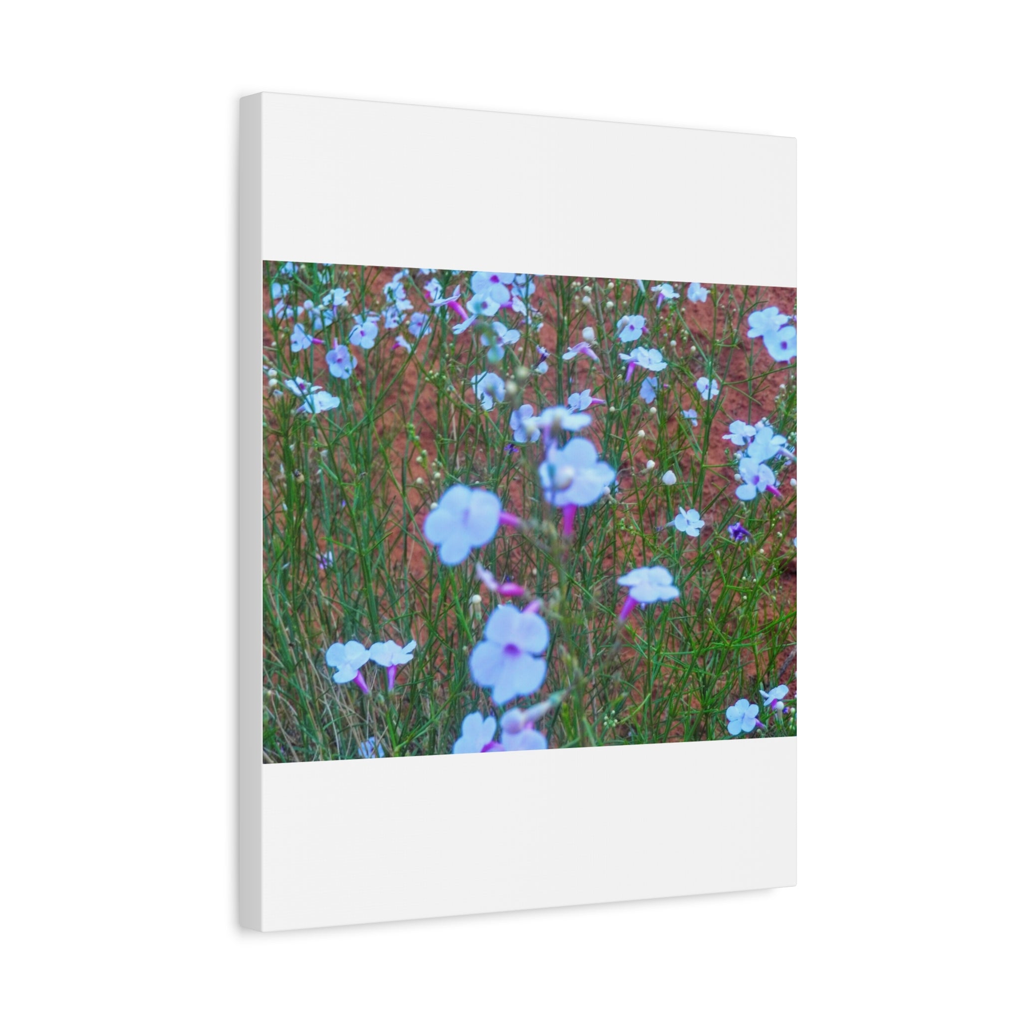 Floral Canvas Wall Art, Home Decor, Wall Hanging, Gift Idea, Nature Art, Flower Print